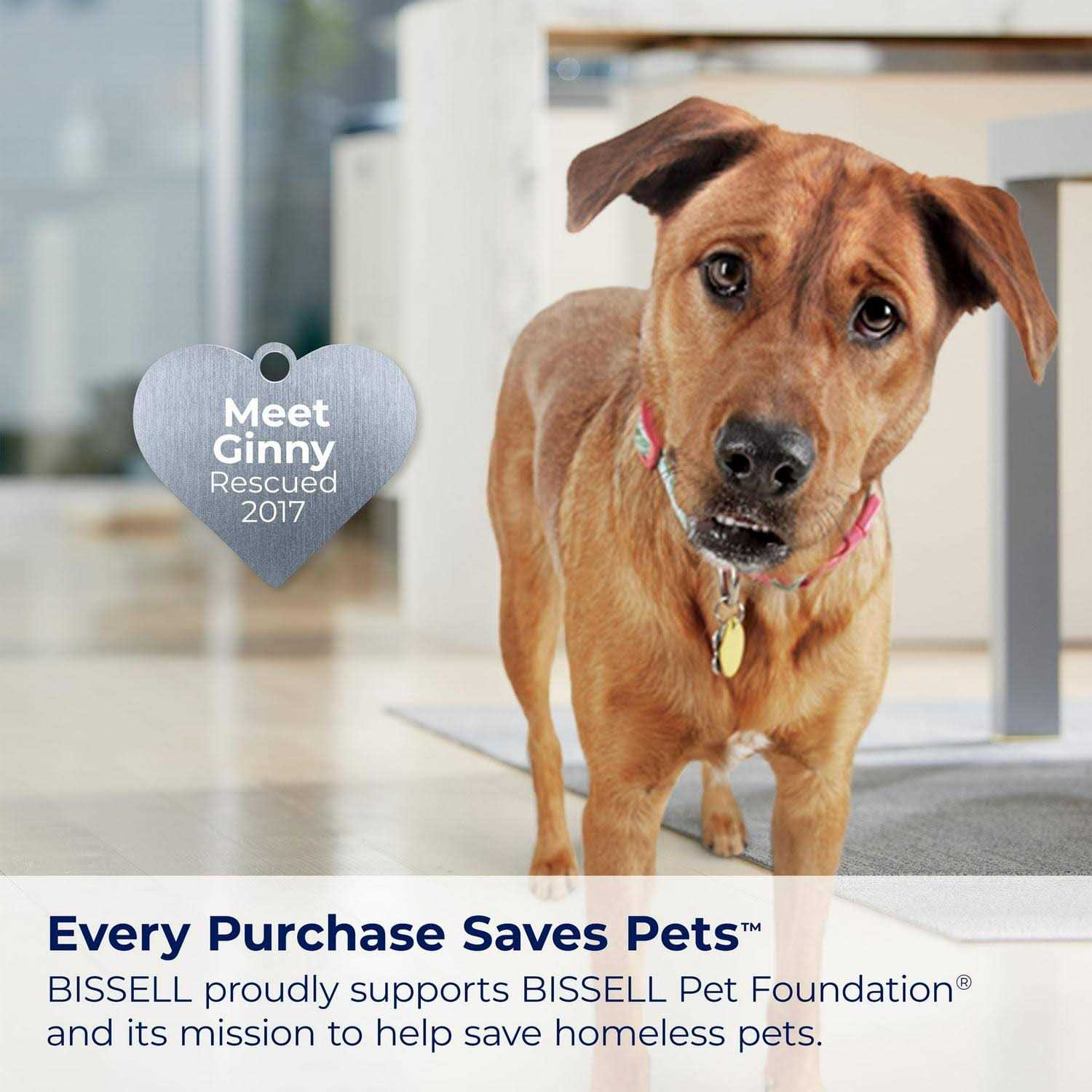 Bissell SpotClean ProHeat Pet Portable Carpet Cleaner 2513w - Image 5