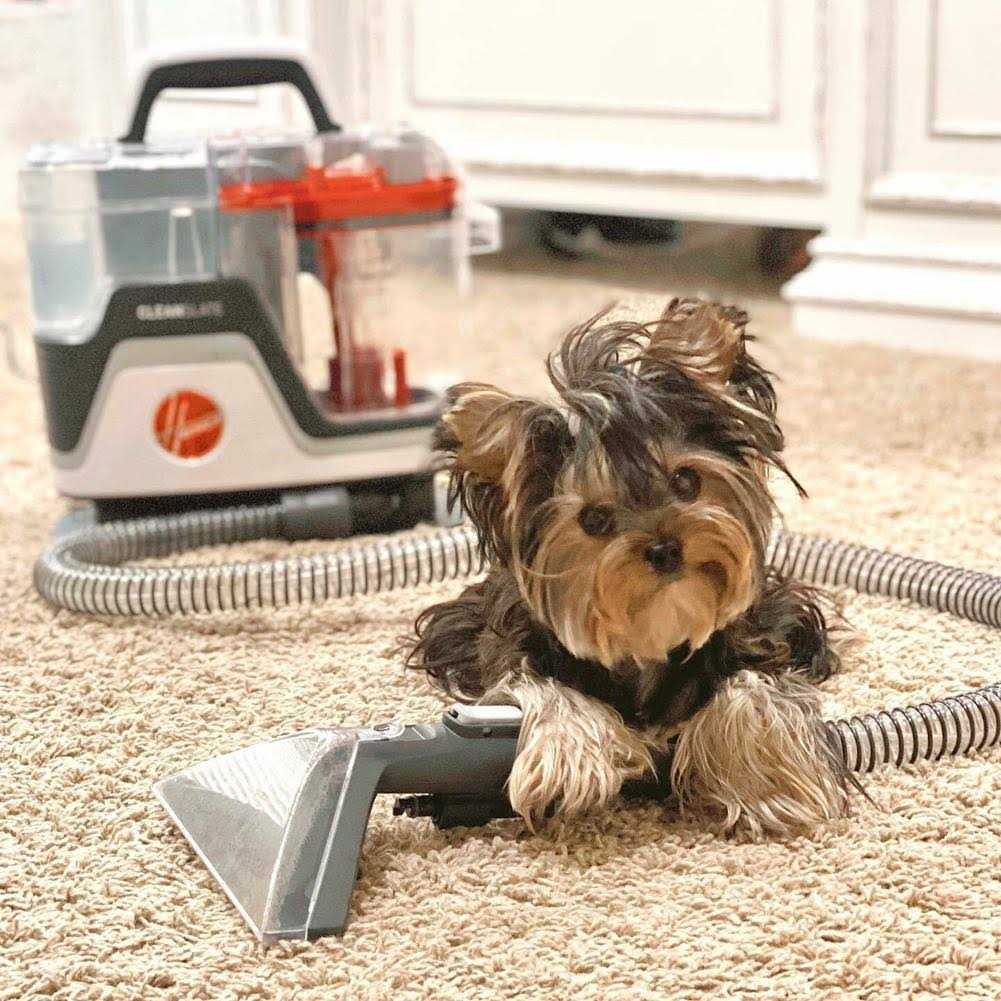 Hoover CleanSlate Pet Carpet & Upholstery Spot Cleaner - Image 2