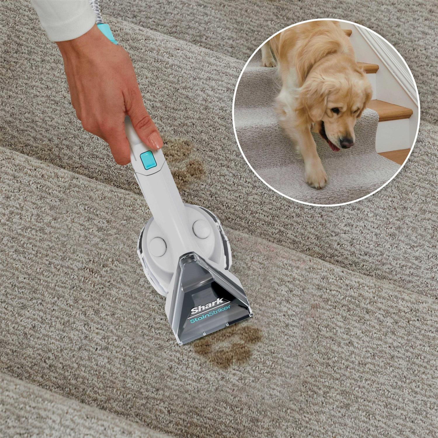 Shark CarpetXpert Deep Carpet Cleaner EX201 - Image 5