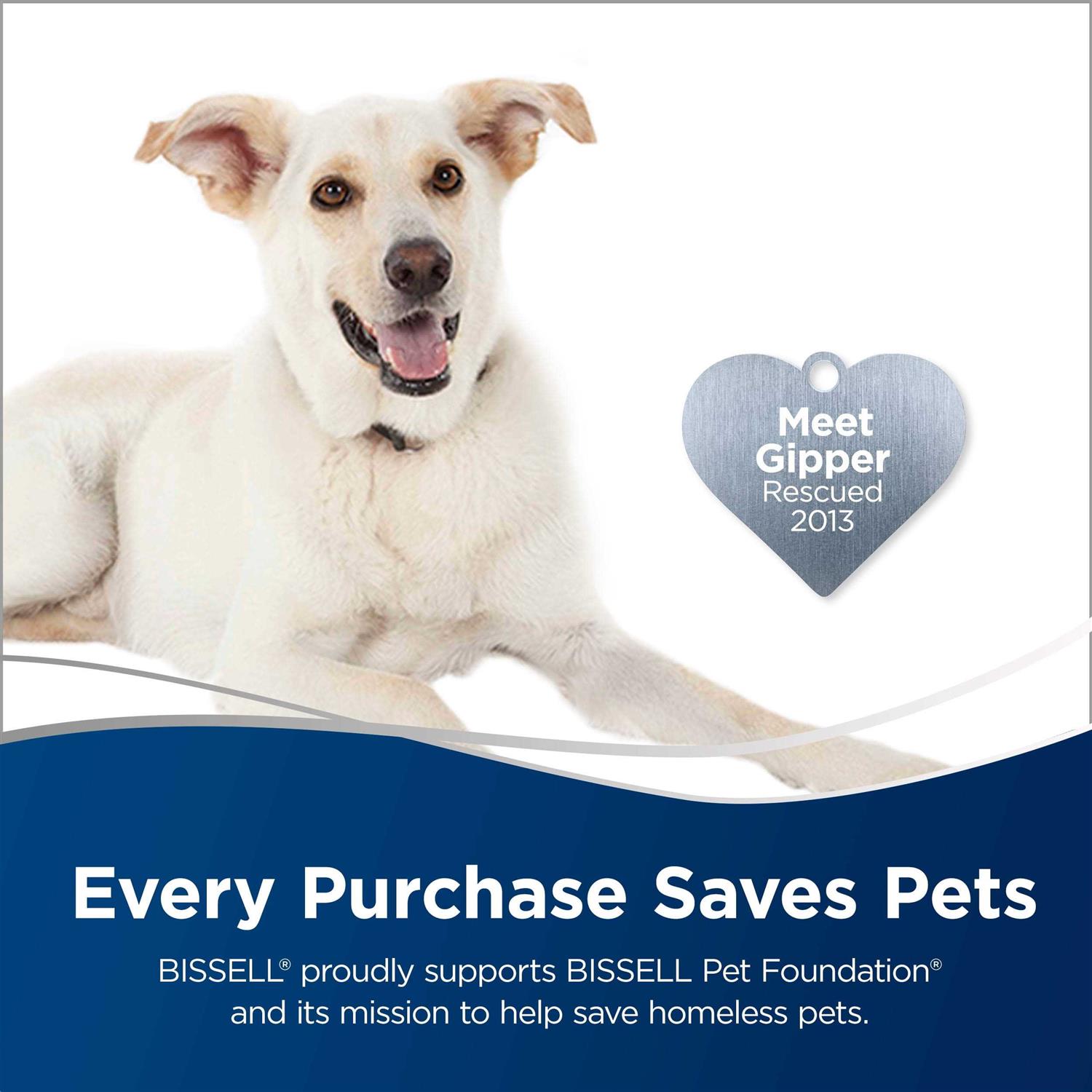 BISSELL PowerLifter Ion Pet 2-in-1 - Image 5