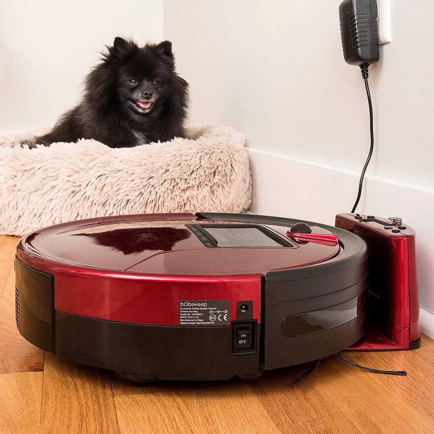 bObsweep PetHair - Image 2