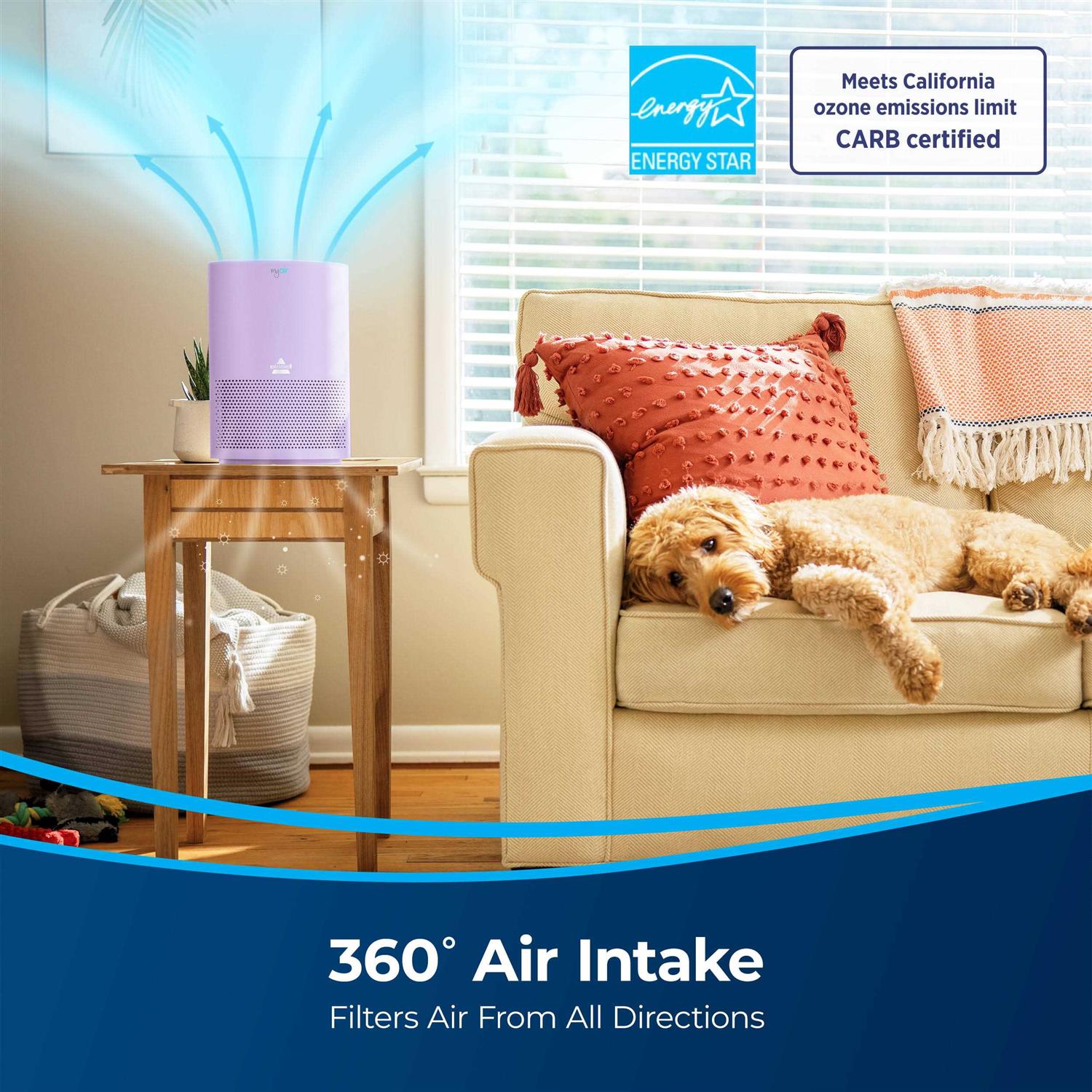 Bissell MYair Air Purifier with High Efficiency and Carbon Filter for Small Room and Home - Image 4