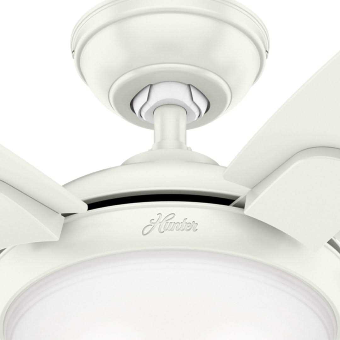 Hunter Contempo-Ceiling Fan with Light Kit and Remote - Image 5