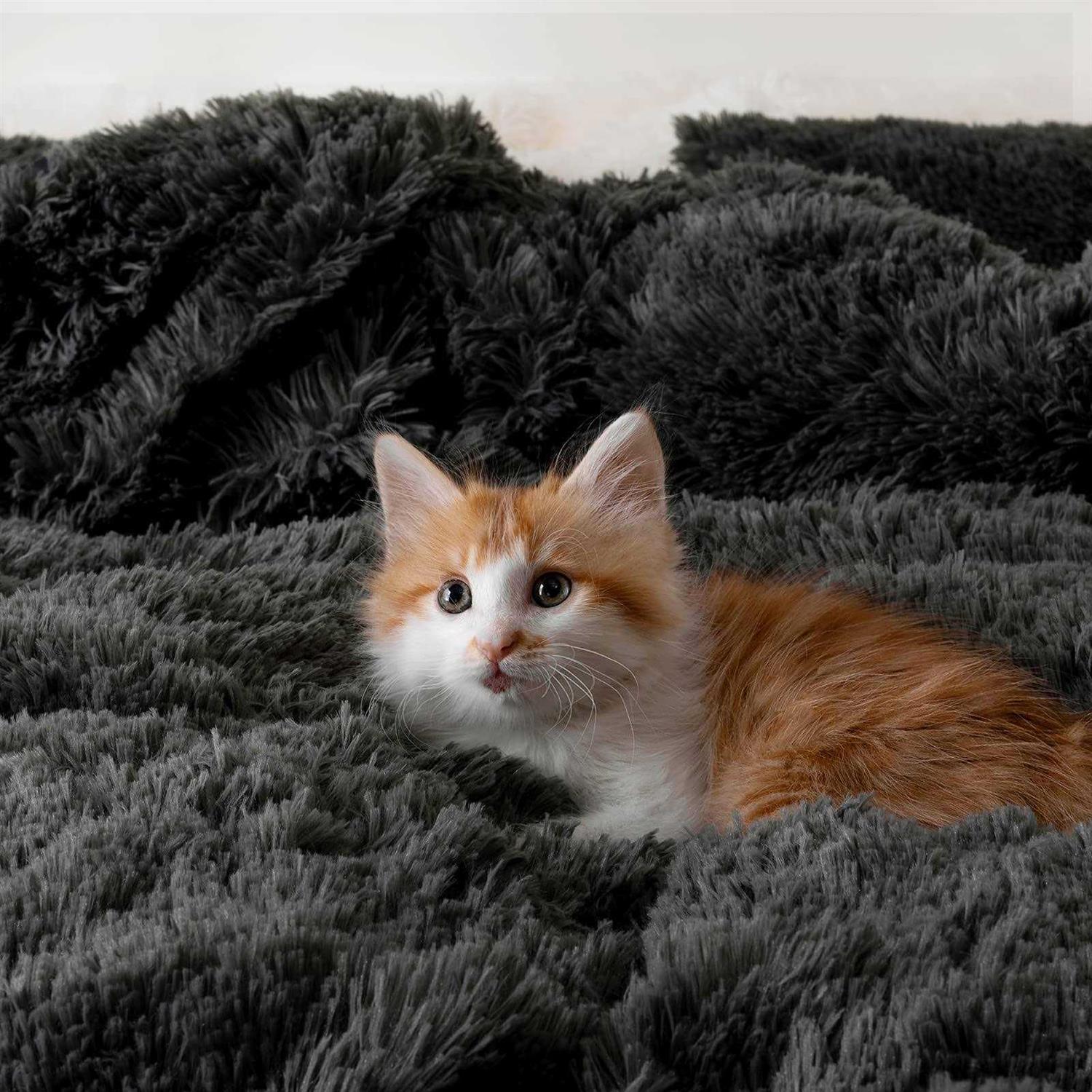 Dreamcountry Plush Fluffy Duvet Cover Oeko-tex Certified Luxury Ultra Soft Shaggy Crystal Velvet Bedding Comforter Set 3 Pieces - Image 5