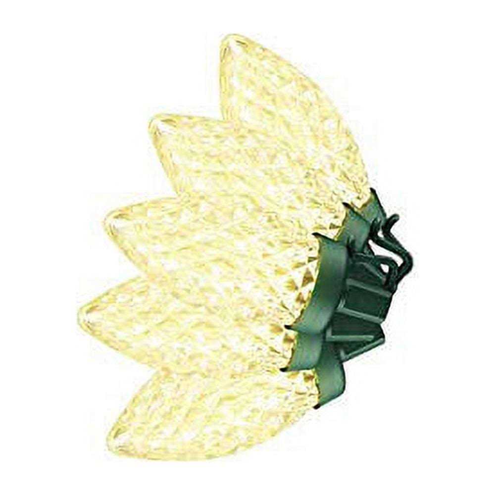 Home Accents Holiday 25 Warm White C9 LED Lights - Image 5