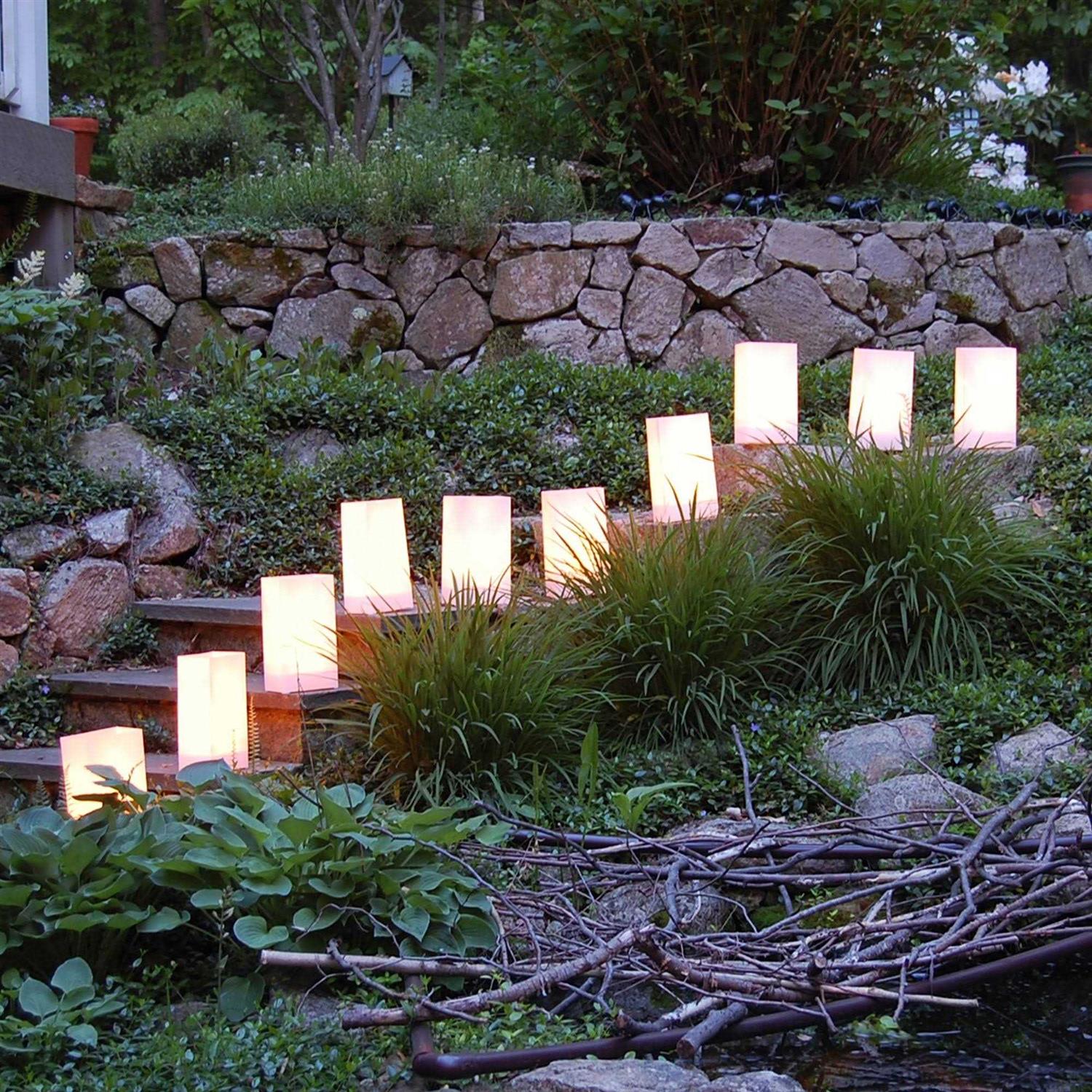 Lumabase Electric Luminaria Kit - Image 5