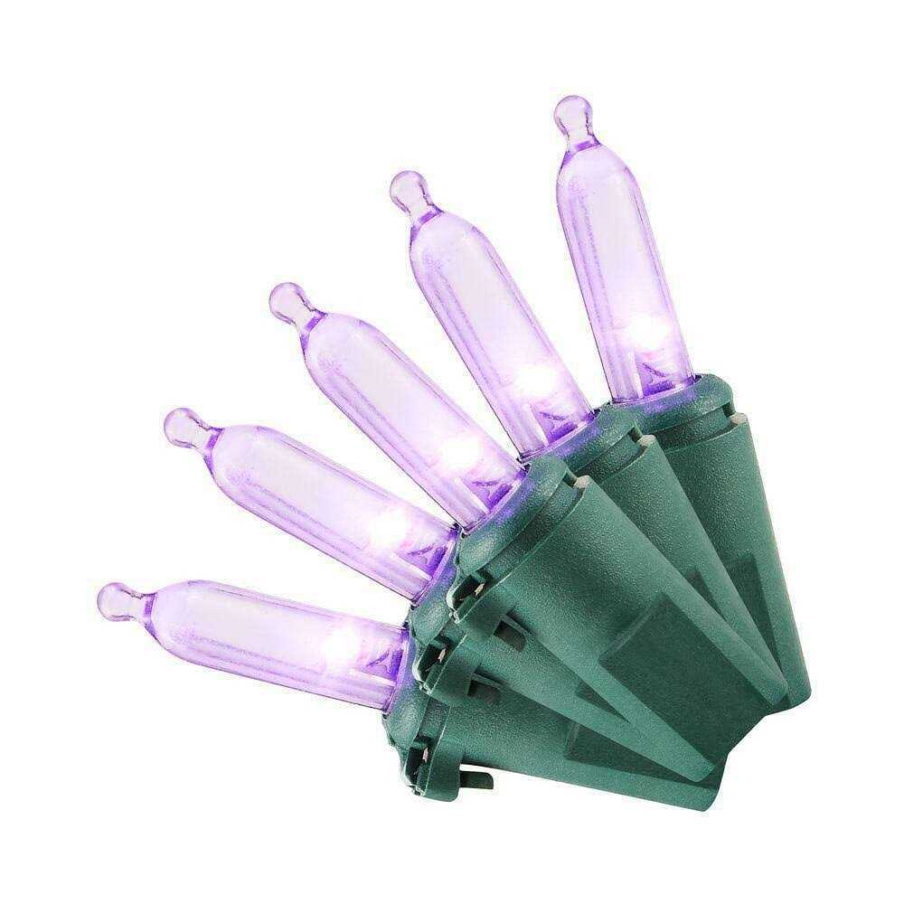 Home Accents Holiday 100 Mini LED Lights - Image 3