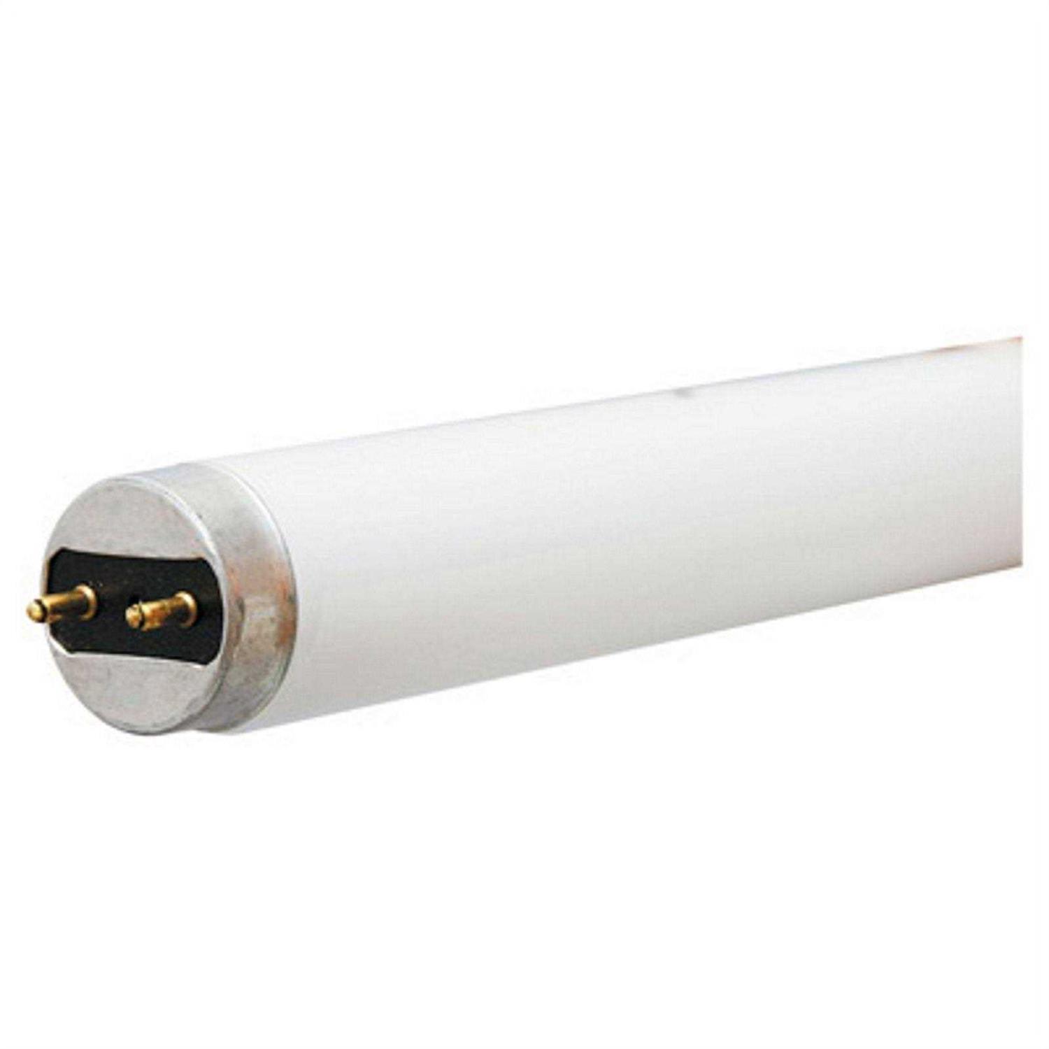 GE 32 W T8 1 in. D x 48 in. L Fluorescent Bulb Bright White Linear 3500 K 2 pk 93130670 - Image 5