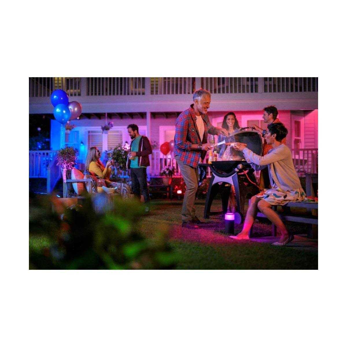 Philips Hue White and Color Ambiance Calla Outdoor Pathway Light Extension - Image 5