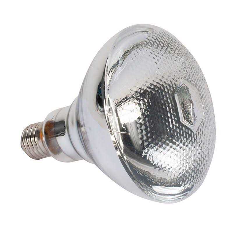 American DJ LL PAR38 150W Lamp for Par-38 - Image 3