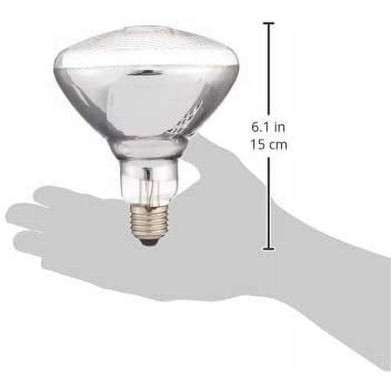 American DJ LL PAR38 150W Lamp for Par-38 - Image 5