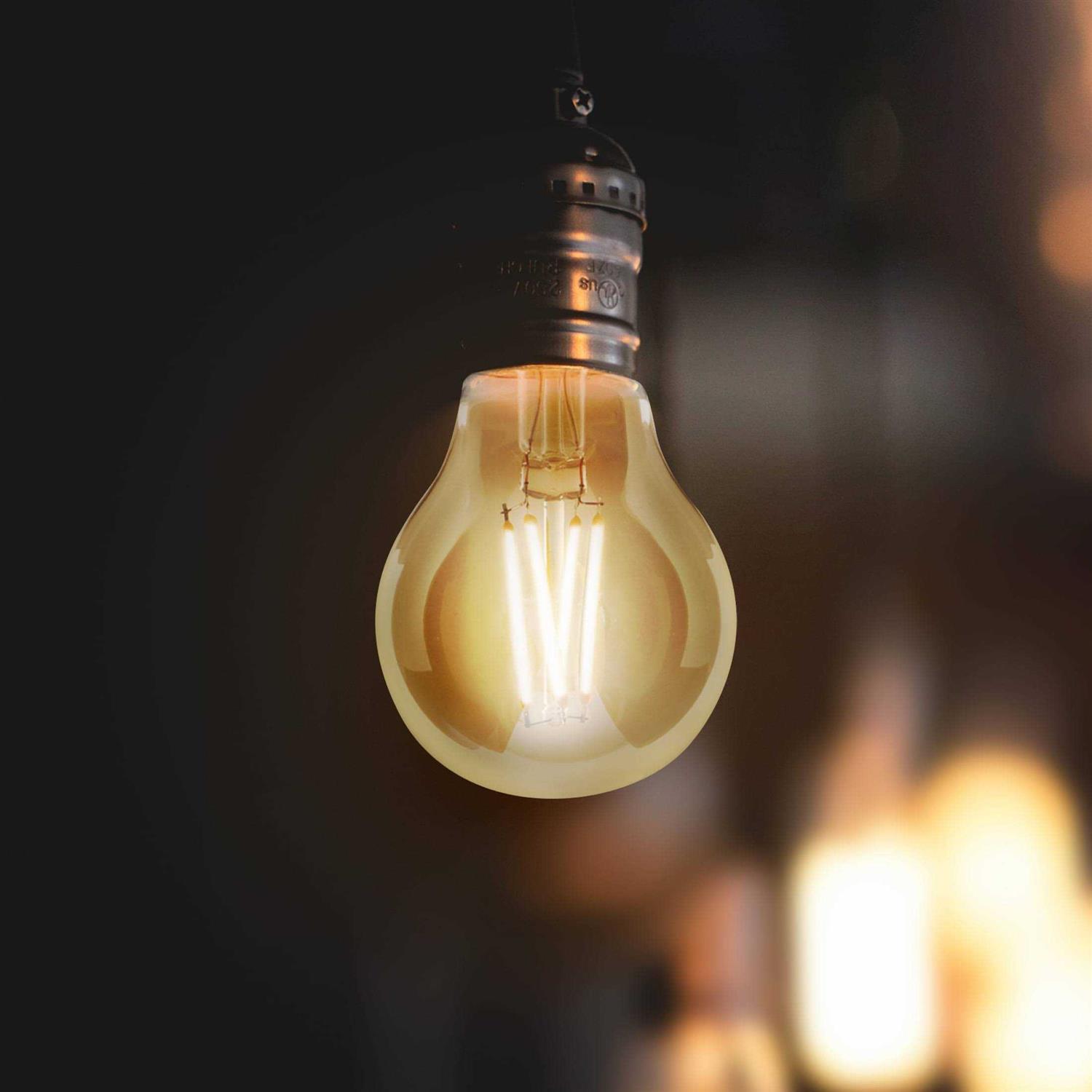 Feit Electric AT19/VG/LED Vintage Bulb - Image 2