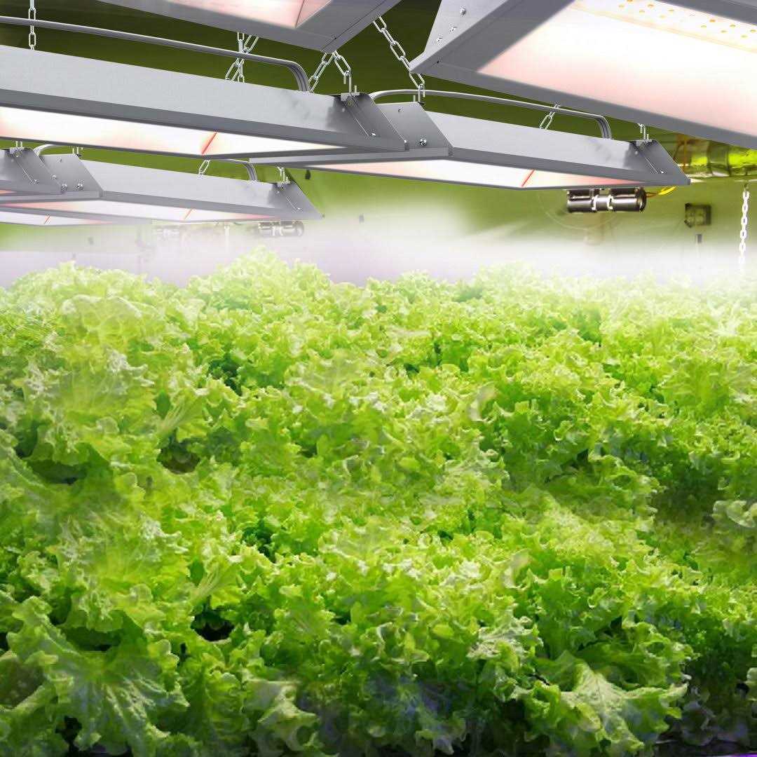 Honeywell 30-Watt LED Full Spectrum Plant Grow Light - Image 2