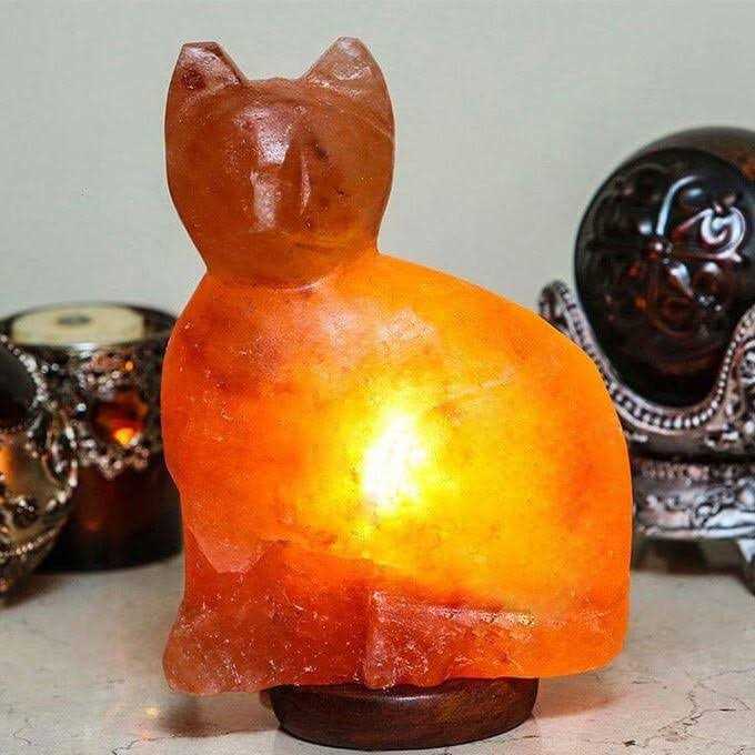 Himalayan Rock Salt Cat Lamp - Image 3