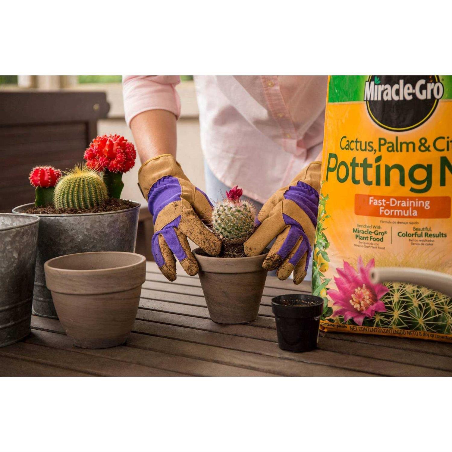 Miracle-Gro Cactus Palm Citrus Potting Mix - Image 2