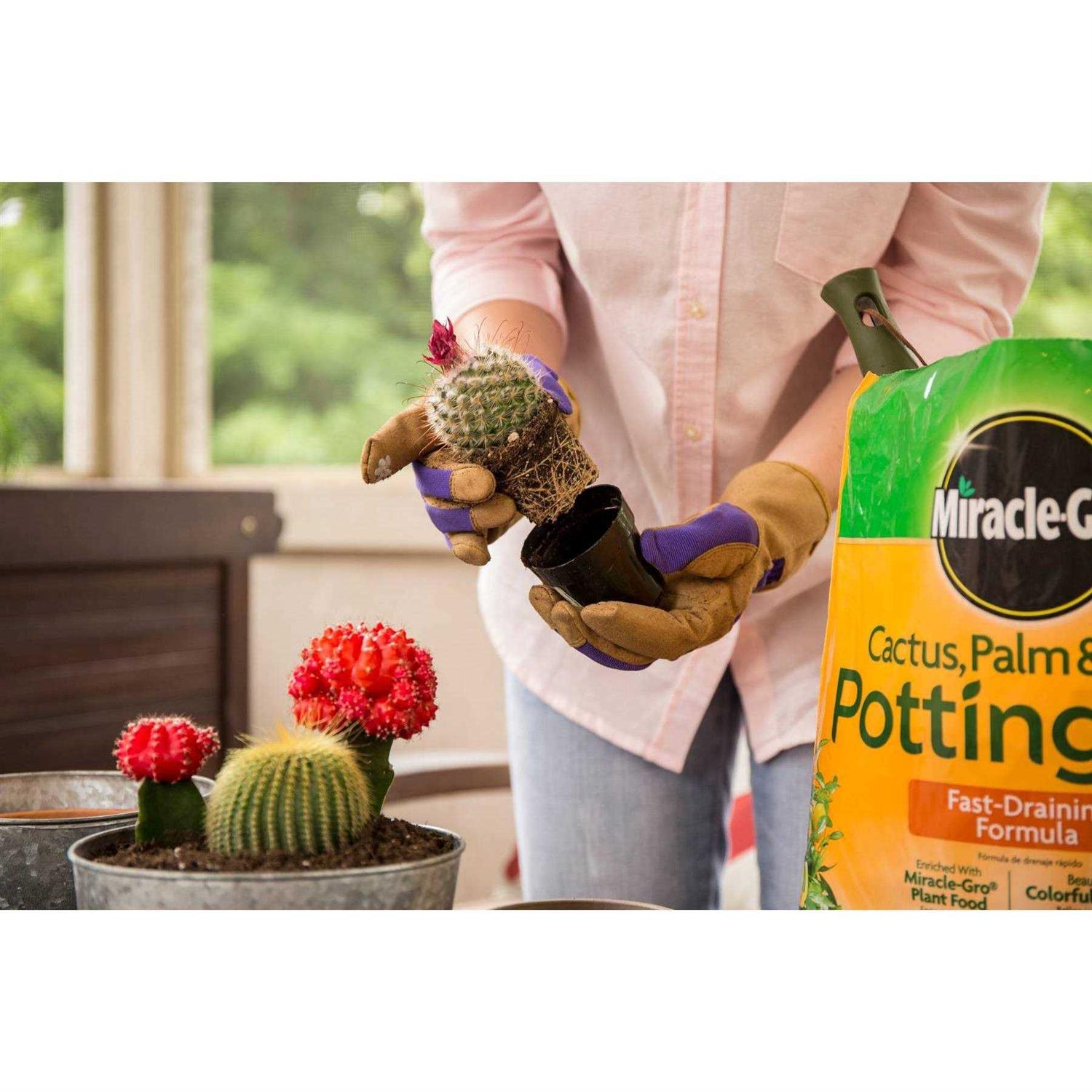 Miracle-Gro Cactus Palm Citrus Potting Mix - Image 4