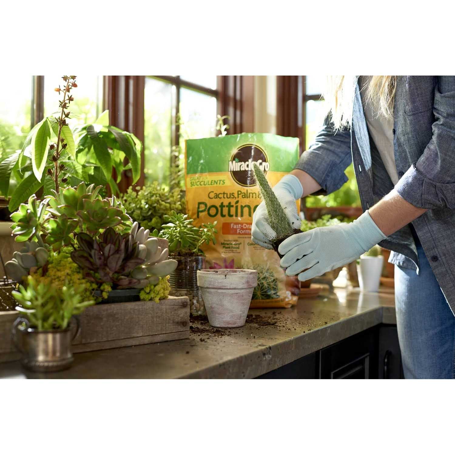 Miracle-Gro Cactus Palm Citrus Potting Mix - Image 2