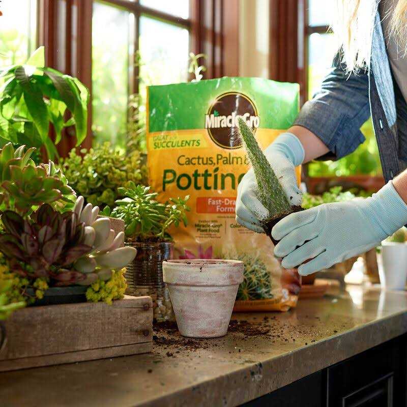 Miracle-Gro Cactus Palm Citrus Potting Mix - Image 4
