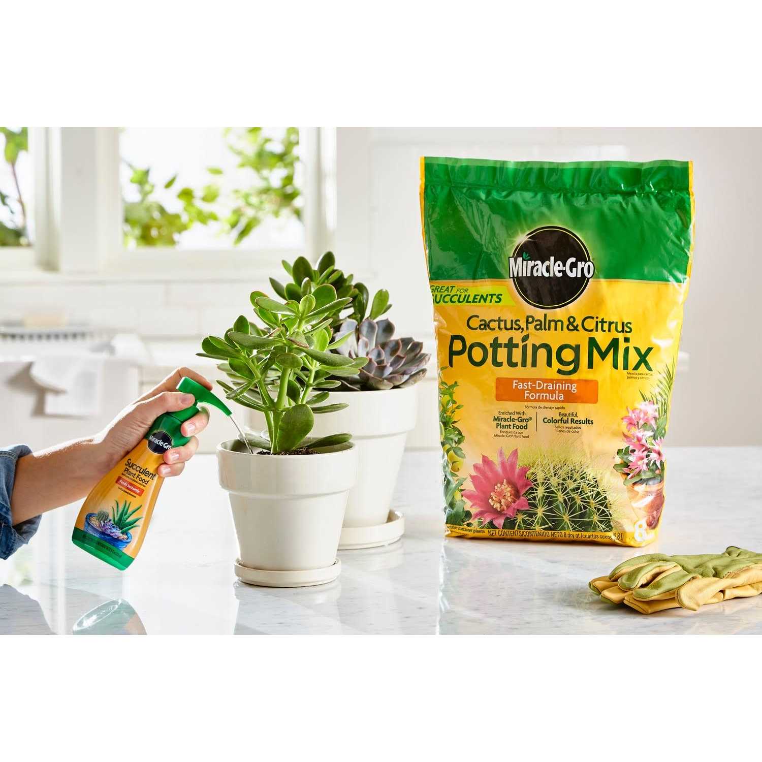 Miracle-Gro Cactus Palm Citrus Potting Mix - Image 5