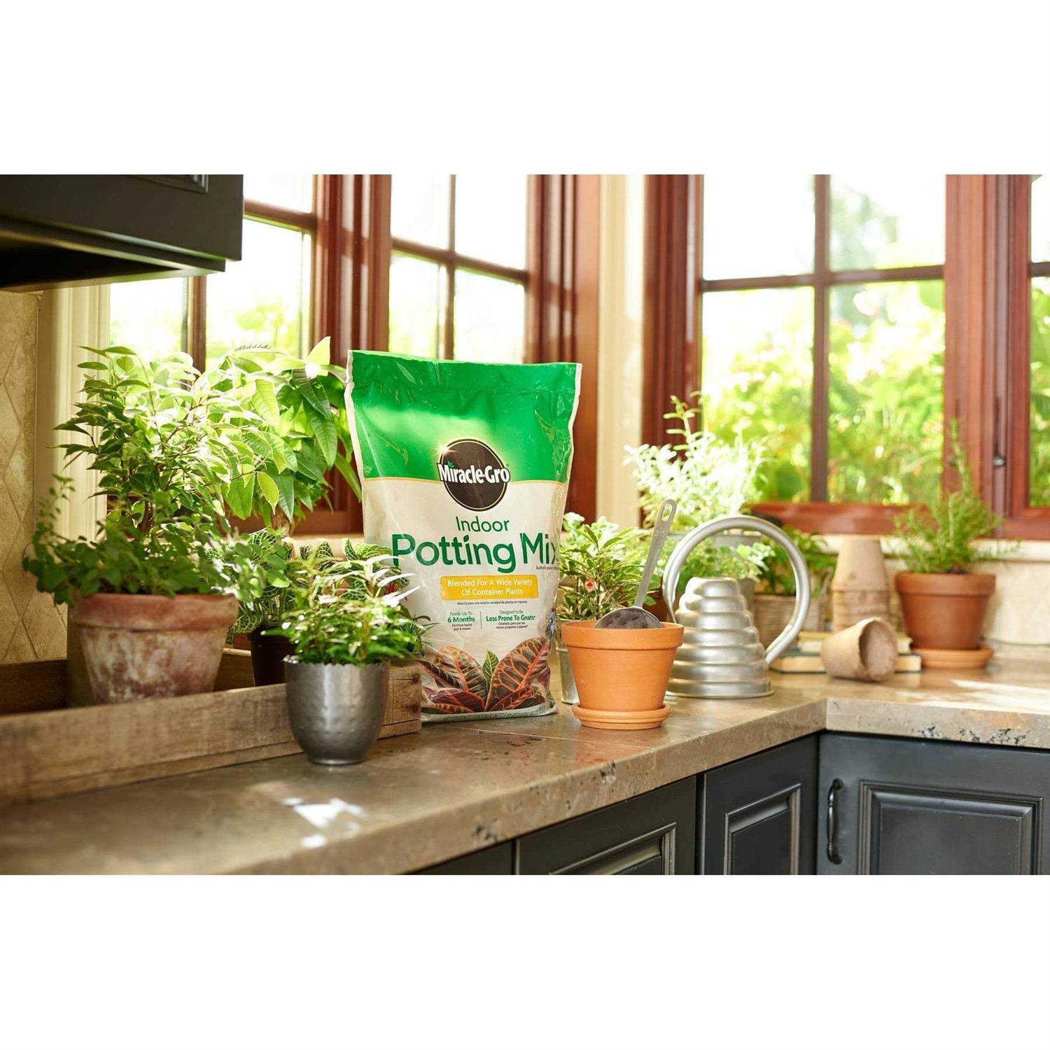 Miracle Gro Indoor Potting Mix - Image 3