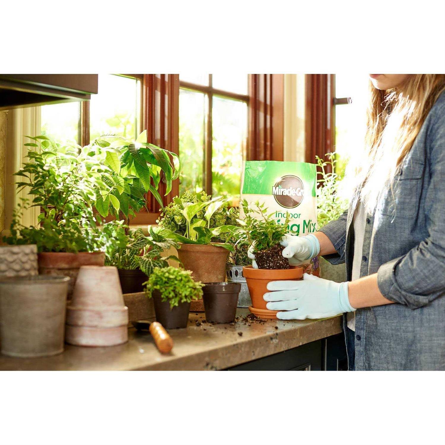 Miracle Gro Indoor Potting Mix - Image 5
