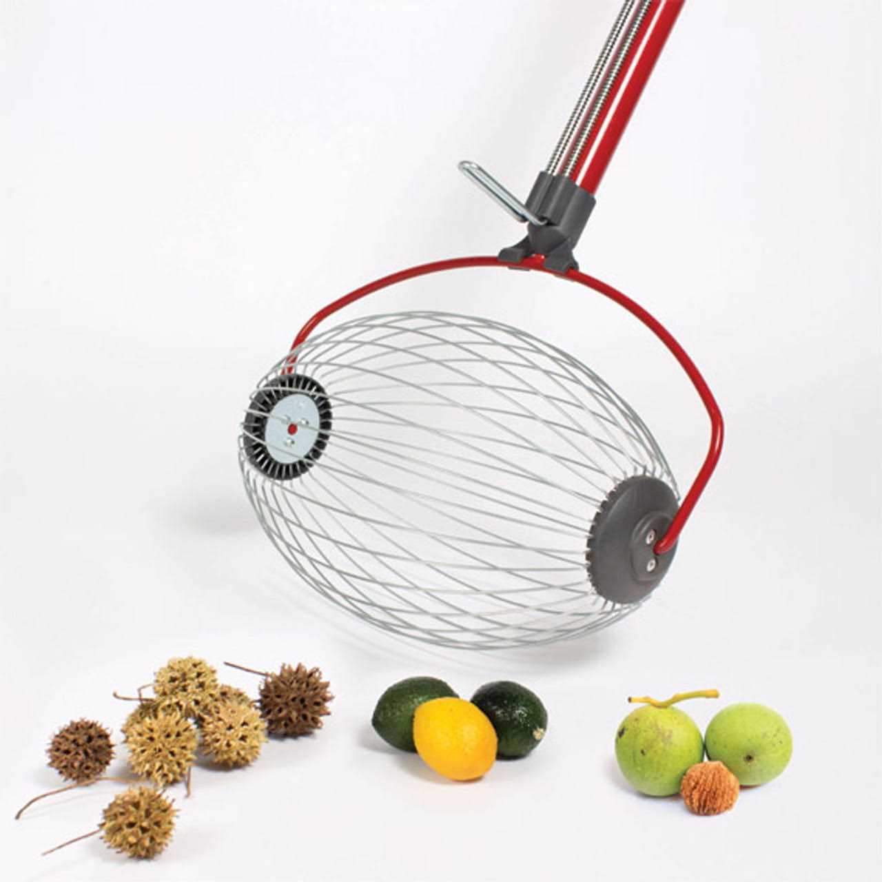 Garden Weasel Large Nut Gatherer - Image 3