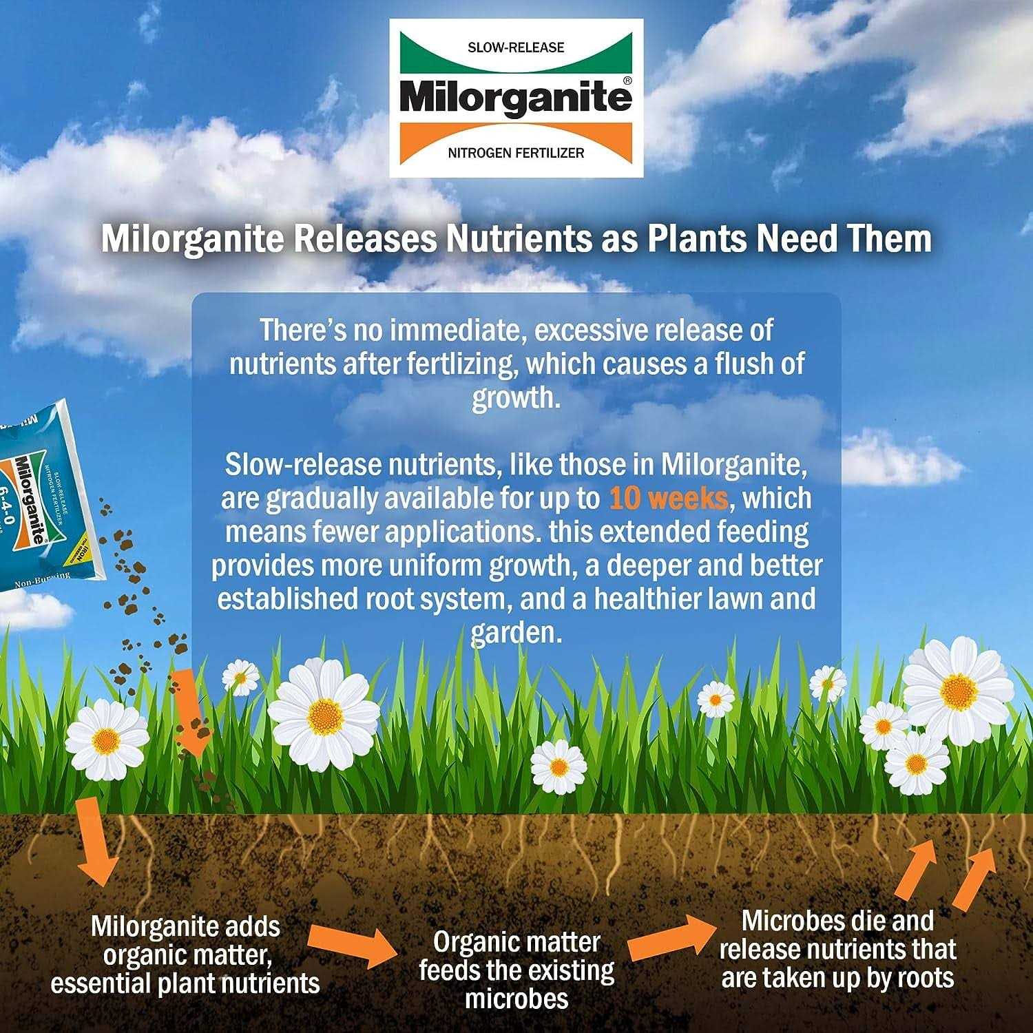 Milorganite Slow-Release Nitrogen Lawn Fertilizer - Image 3