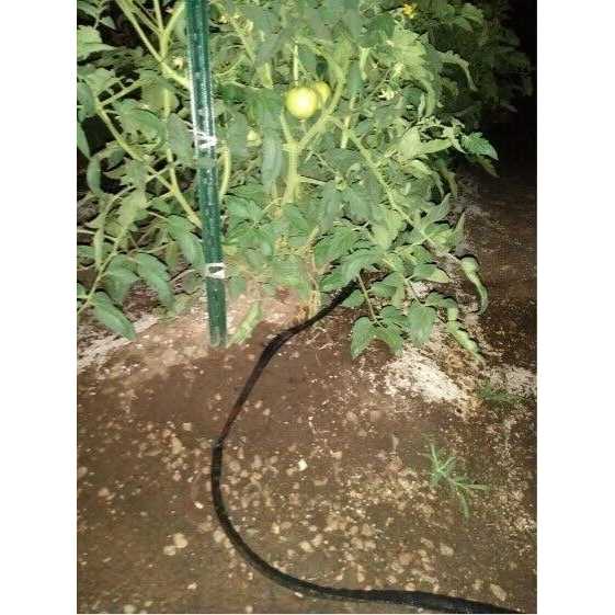 One Stop Gardens 50 ft. x 3/4 in. Flat Seeper Soaker Hose - Image 3