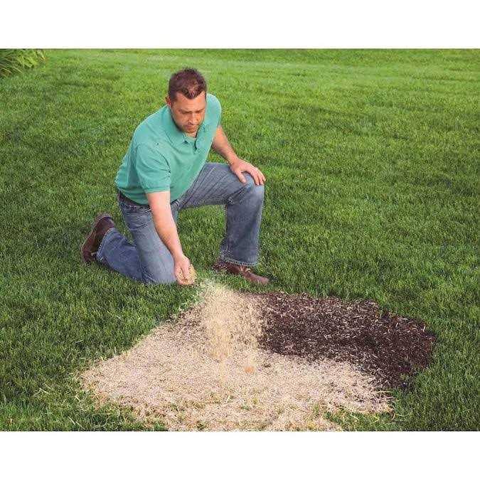 EZ Straw Seeding Mulch - Image 2