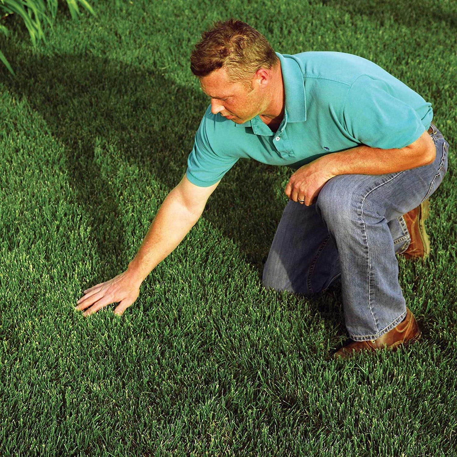EZ Straw Seeding Mulch - Image 3