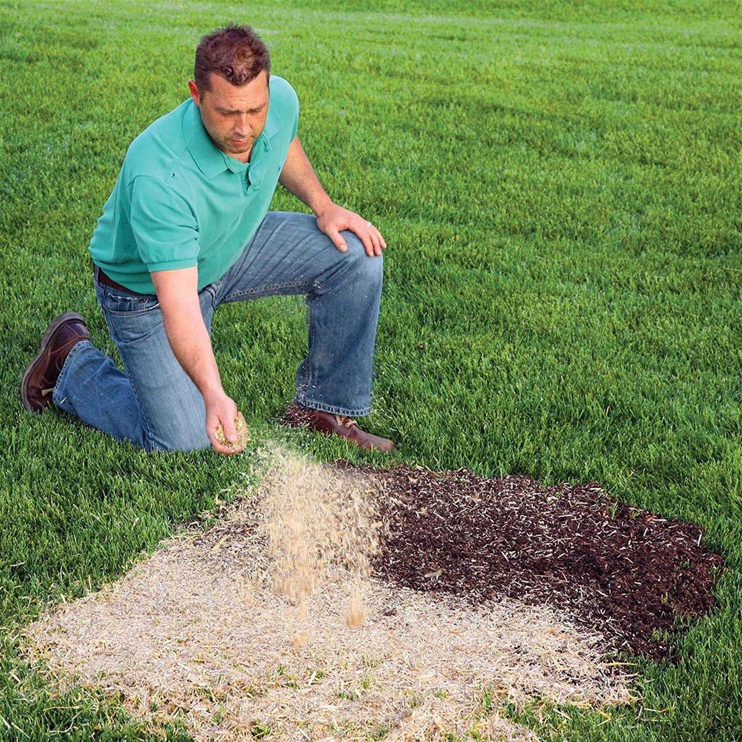 EZ Straw Seeding Mulch - Image 5