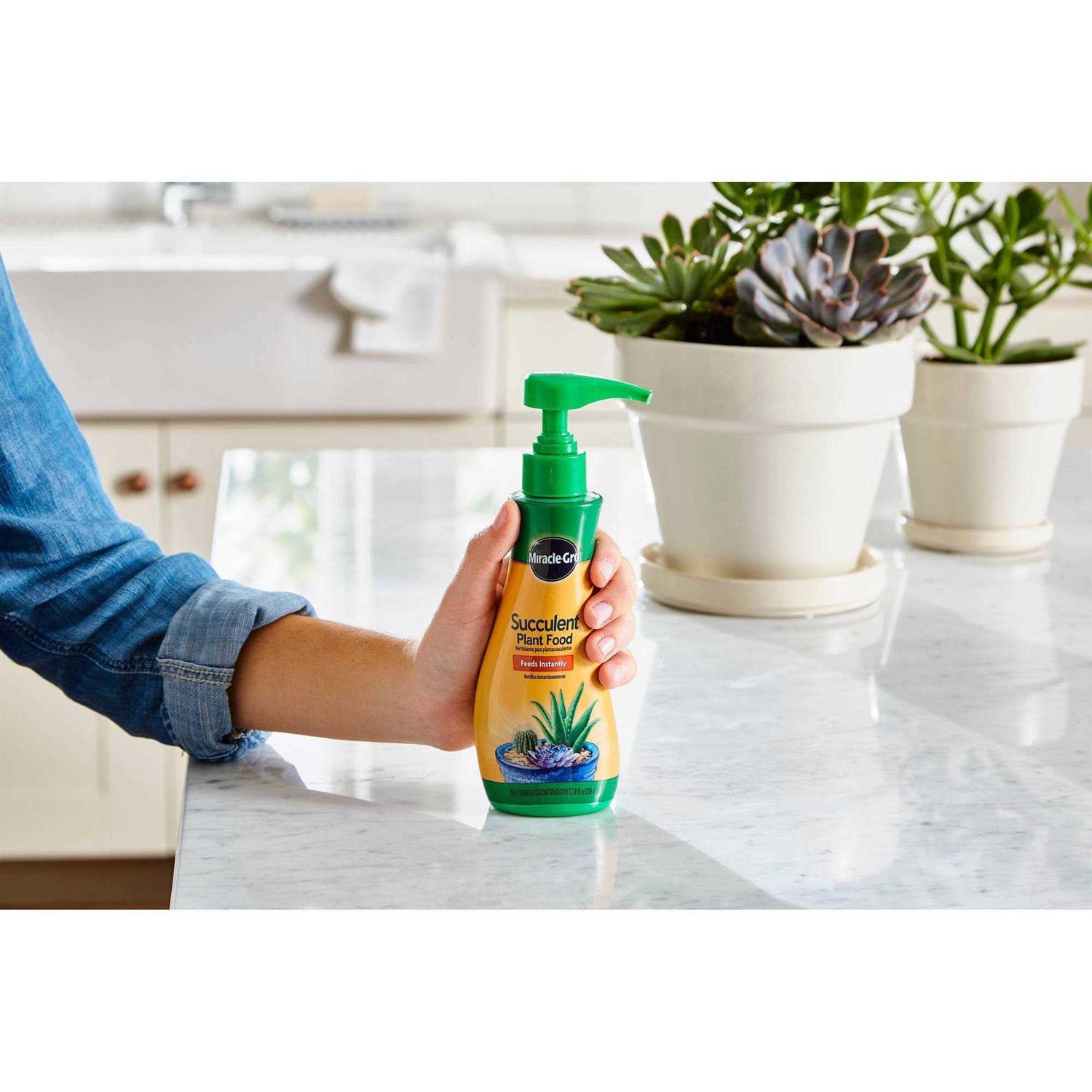 Miracle Gro Succulent Plant Food - Image 2