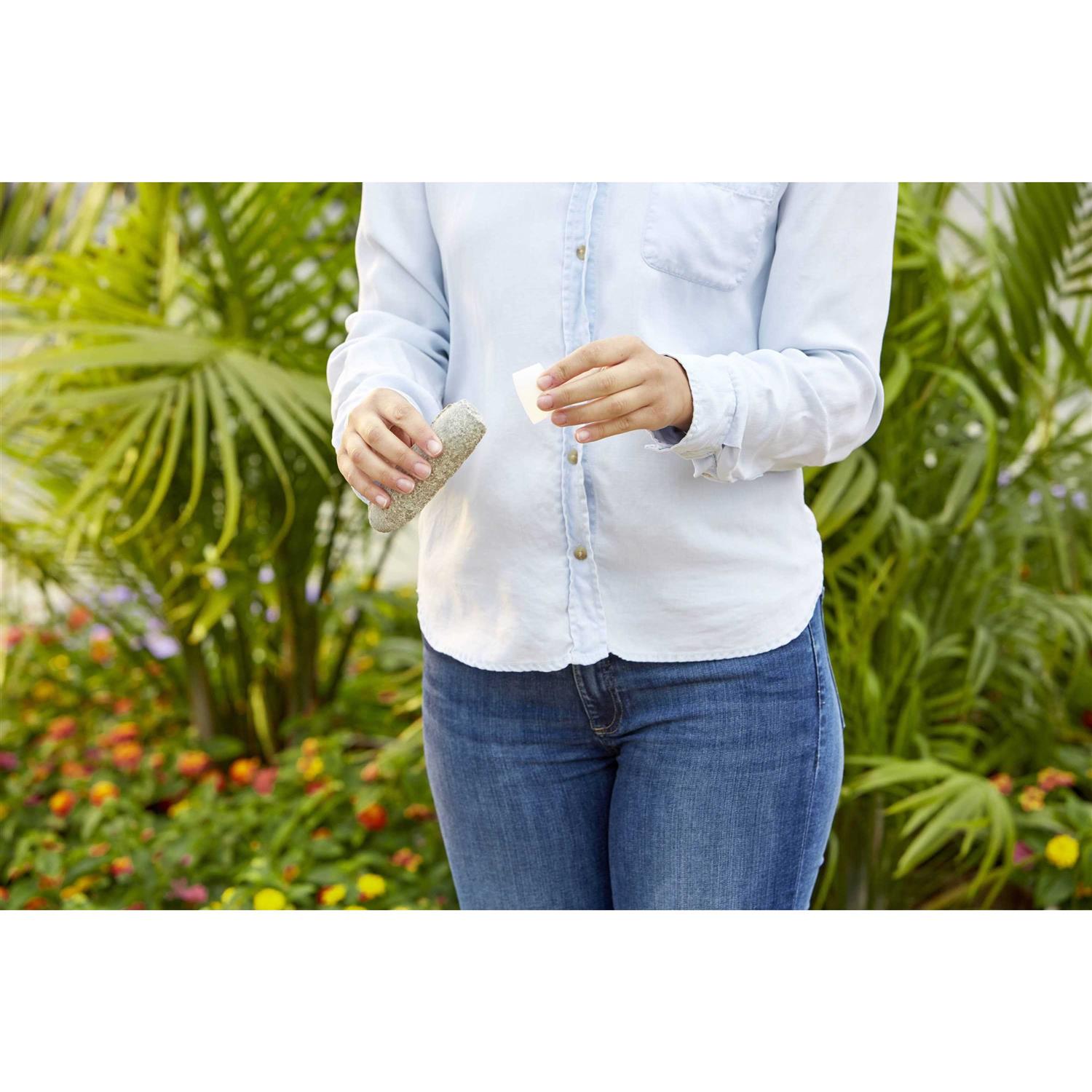 Miracle Gro Fruit & Citrus Plant Food Spikes - Image 2