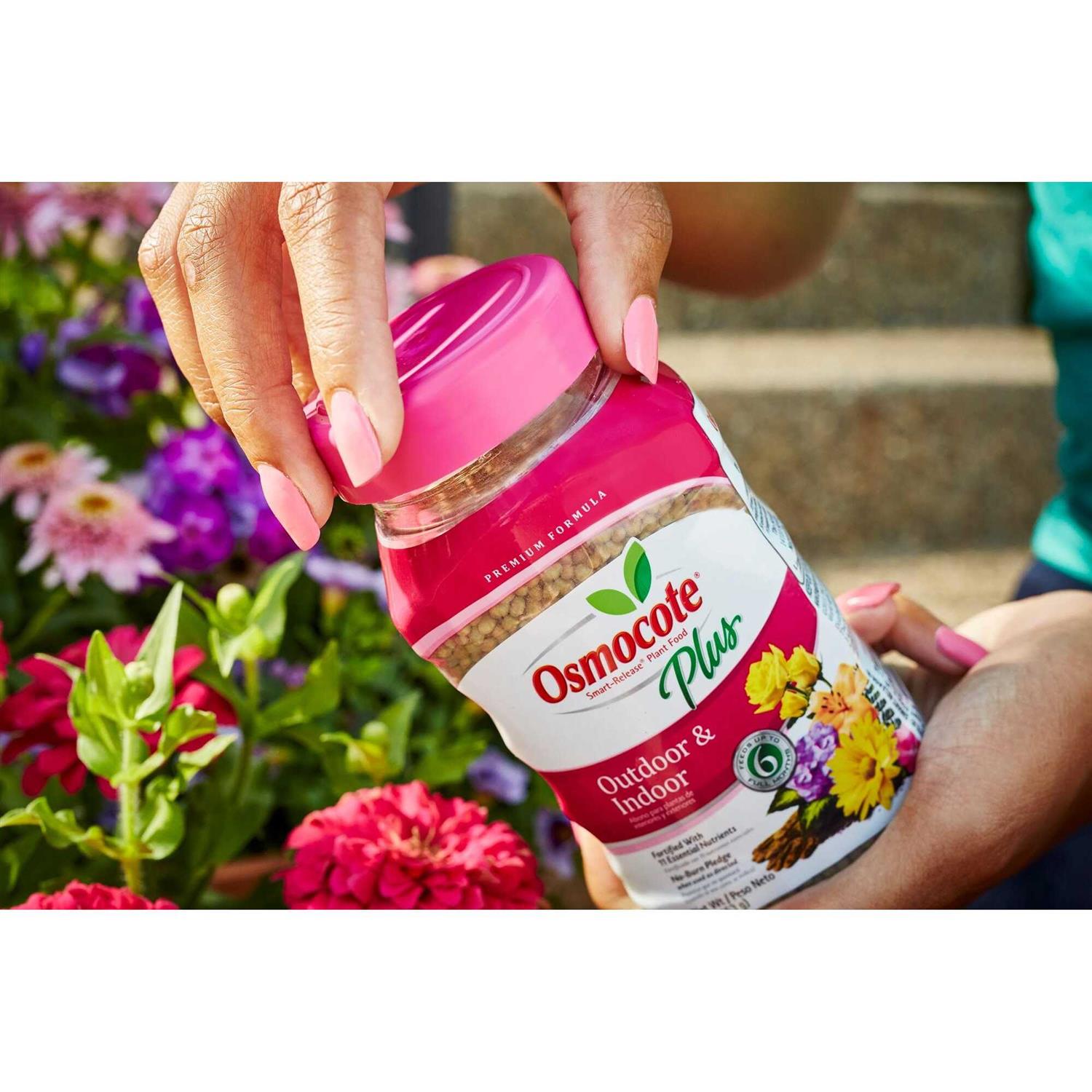 Osmocote Plus Outdoor & Indoor Smart Release Plant Food - Image 2