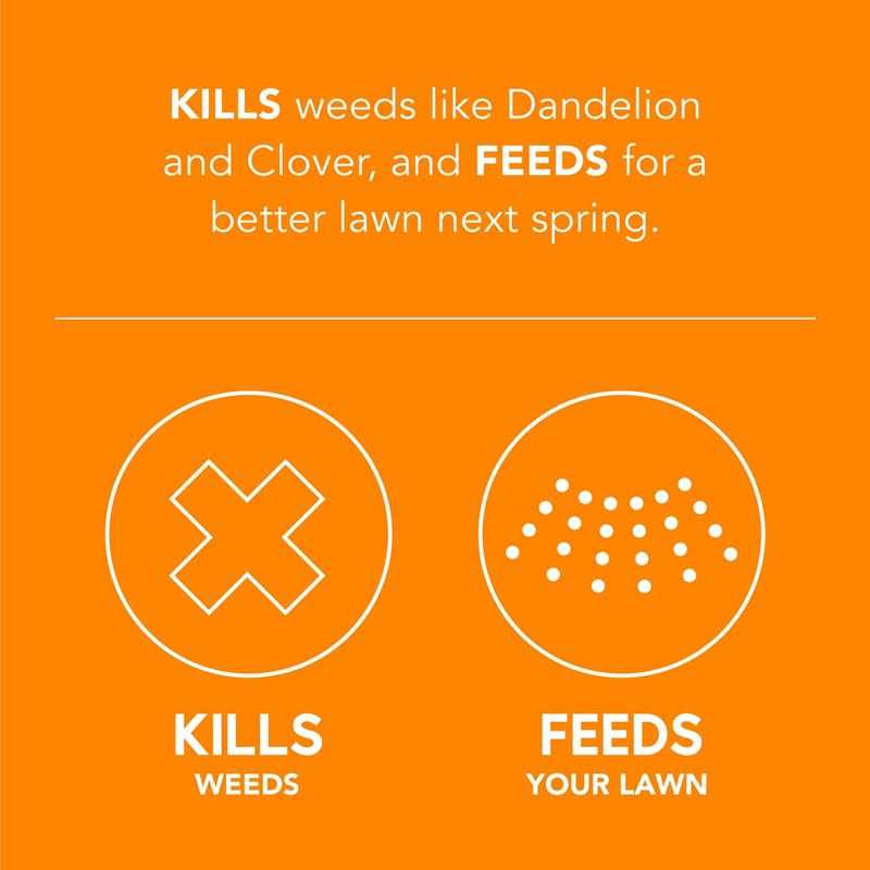 Scotts Turf Builder WinterGuard Fall Weed & Feed - Image 2