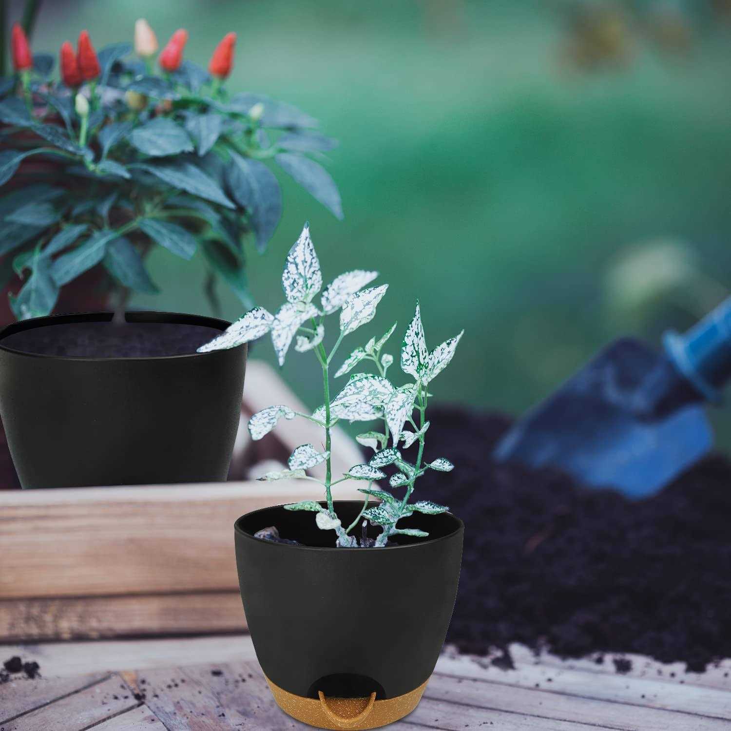 Self Watering Planters with Drainage Holes Reservoir,Nursery Planting Pot for Indoor Decor Garden Plants Succulents,Snake Plant - Image 3