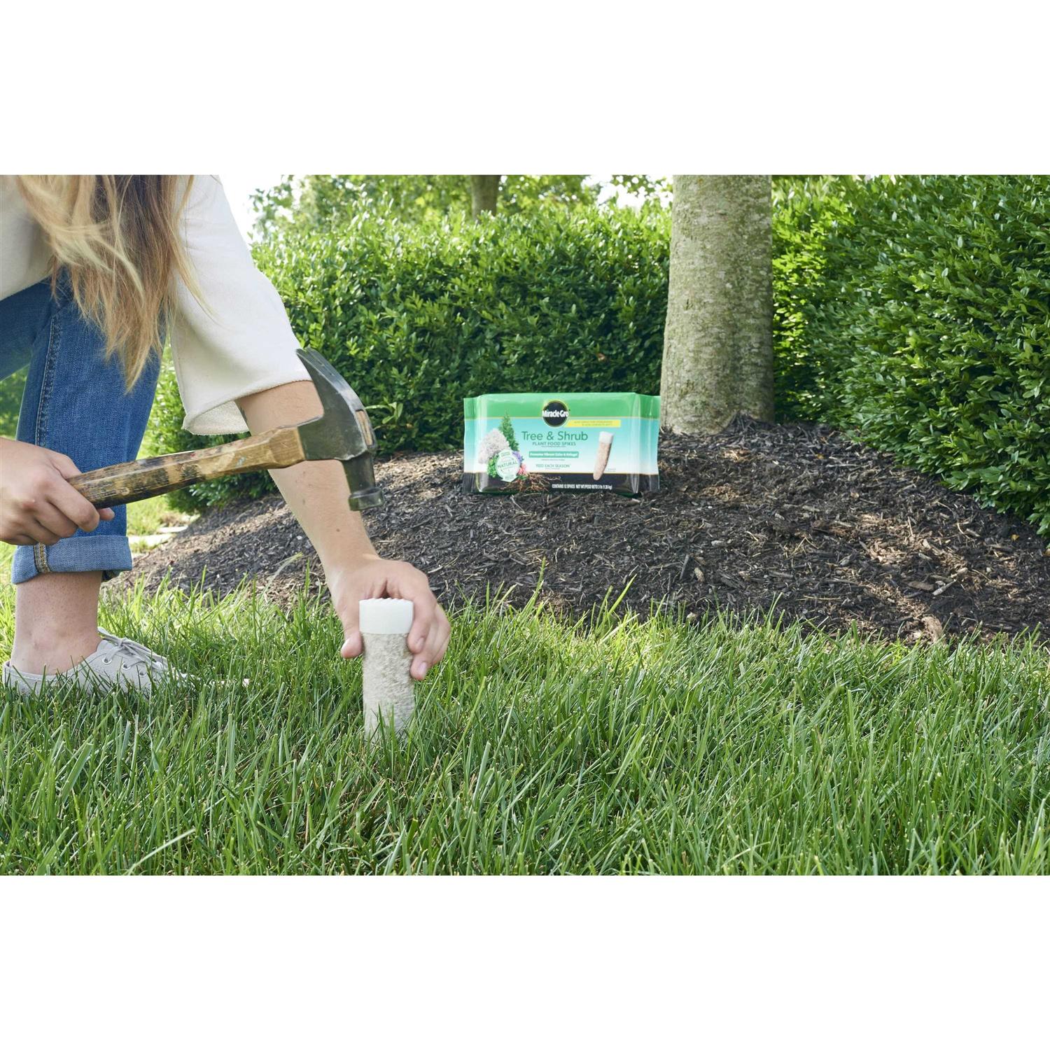 Miracle Gro Tree & Shrub Plant Food Spikes - Image 3