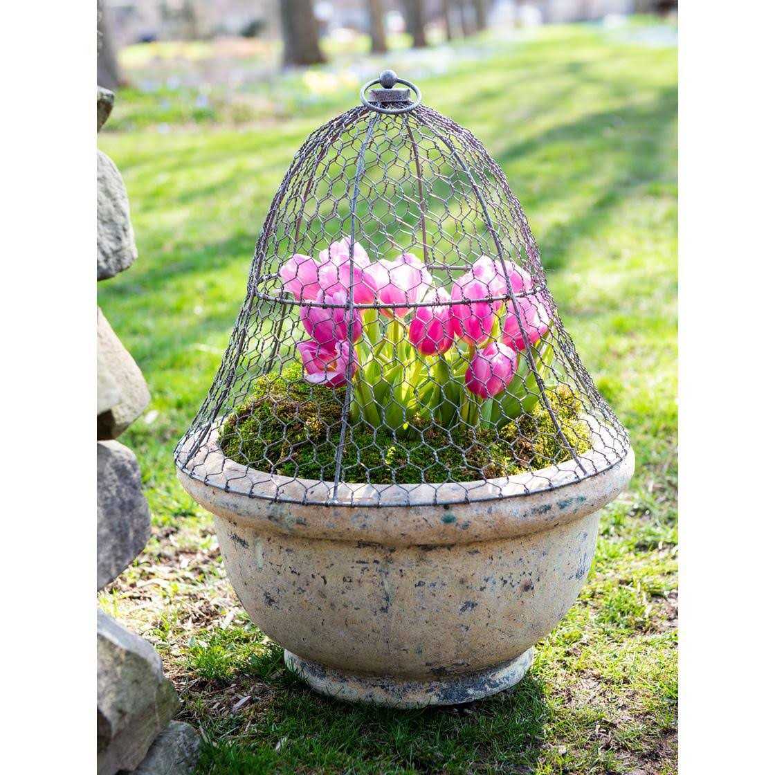 Gardener's Supply Company Chicken Wire Cloche Garden Plant Protection - Image 3