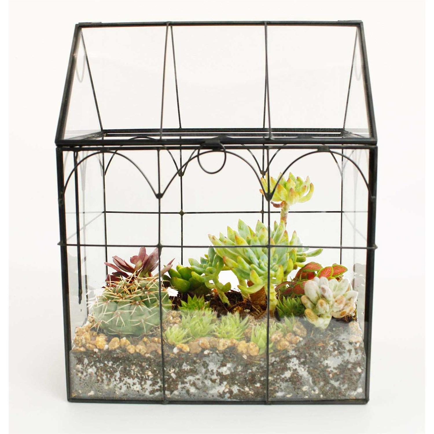 ELEGANTLIFE Glass Geometric Plant Terrarium,Succulent & Air Planter for Home Garden Office Decoration - Image 2