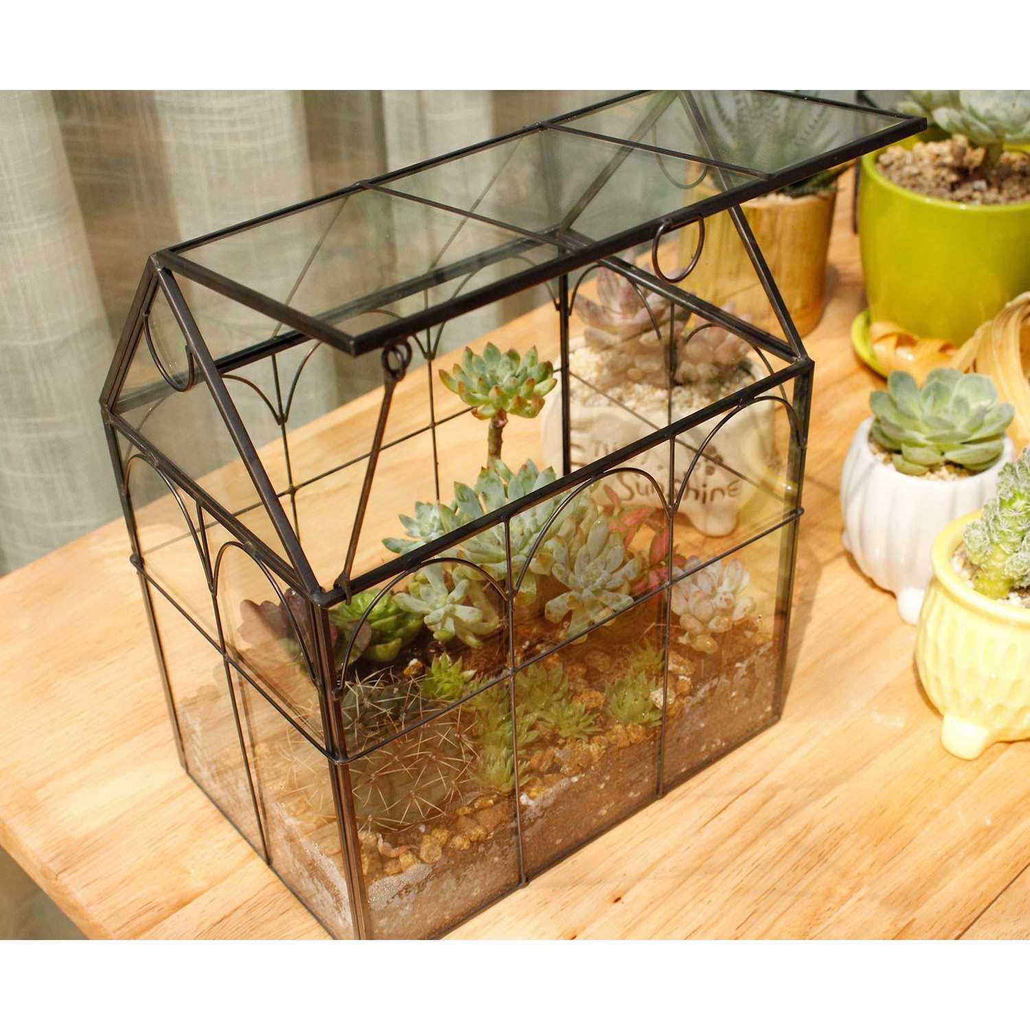 ELEGANTLIFE Glass Geometric Plant Terrarium,Succulent & Air Planter for Home Garden Office Decoration - Image 5
