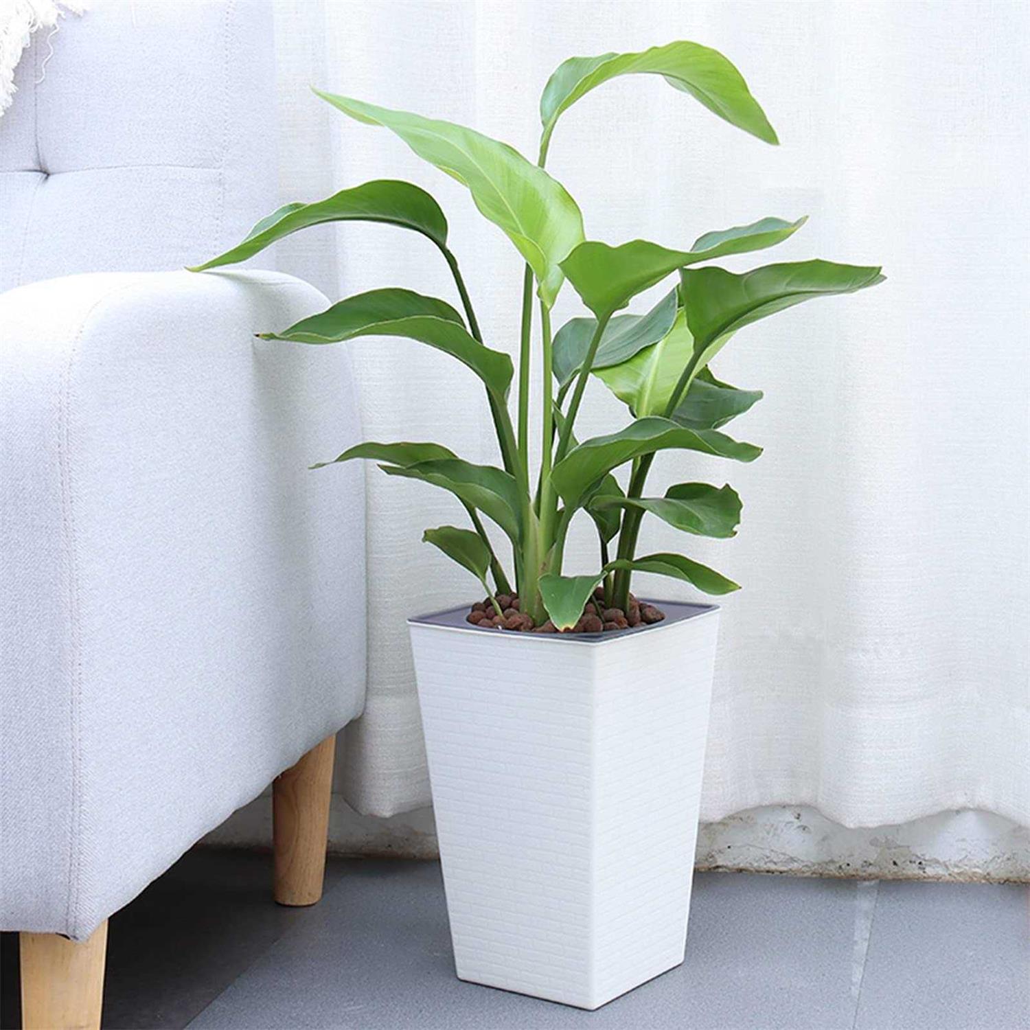 Self Watering Planters Tall Planter for Indoor Plants - Image 4