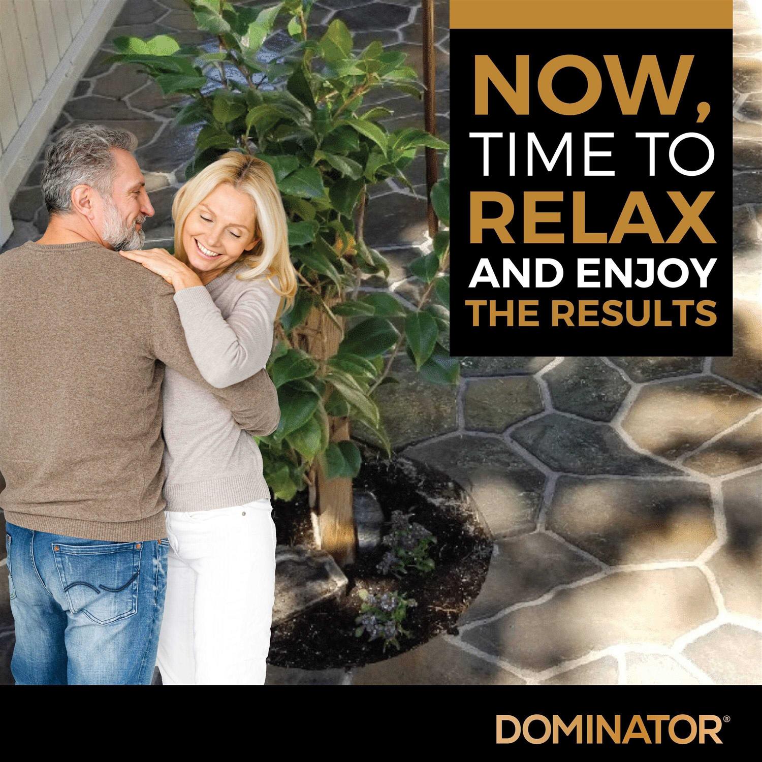 DOMINATOR 40 lbs. XL Polymeric Sand DPSXL40 - Image 4