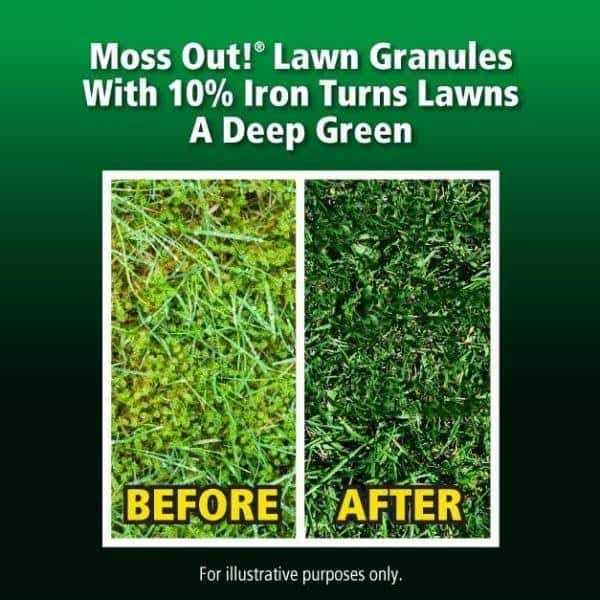 Lilly Miller Moss Out Granules - Image 3