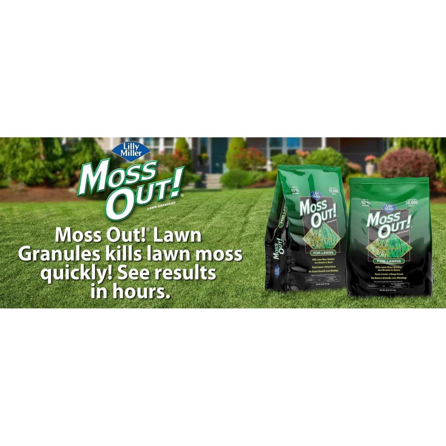 Lilly Miller Moss Out Granules - Image 4