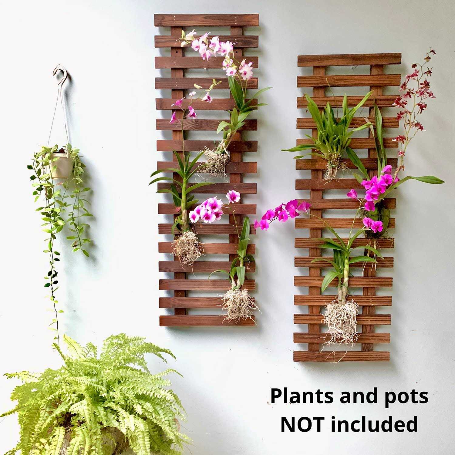 ShopLaLa Wall Planter-2 Pack Wooden Hanging Indoor Plants,Wall Outdoor - Image 3