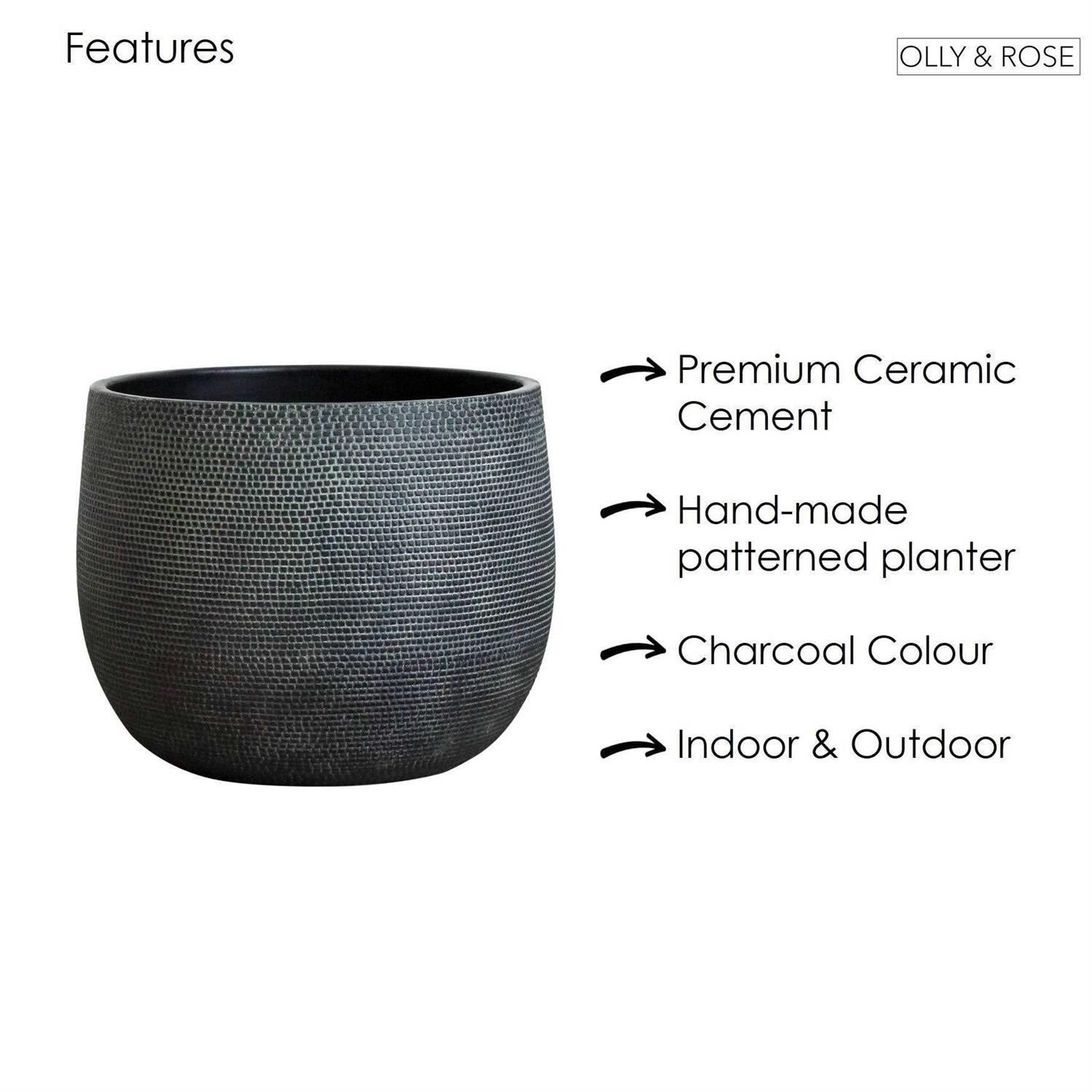 Olly & Rose Ceramic Plant Pot Large 10 inch - Image 2