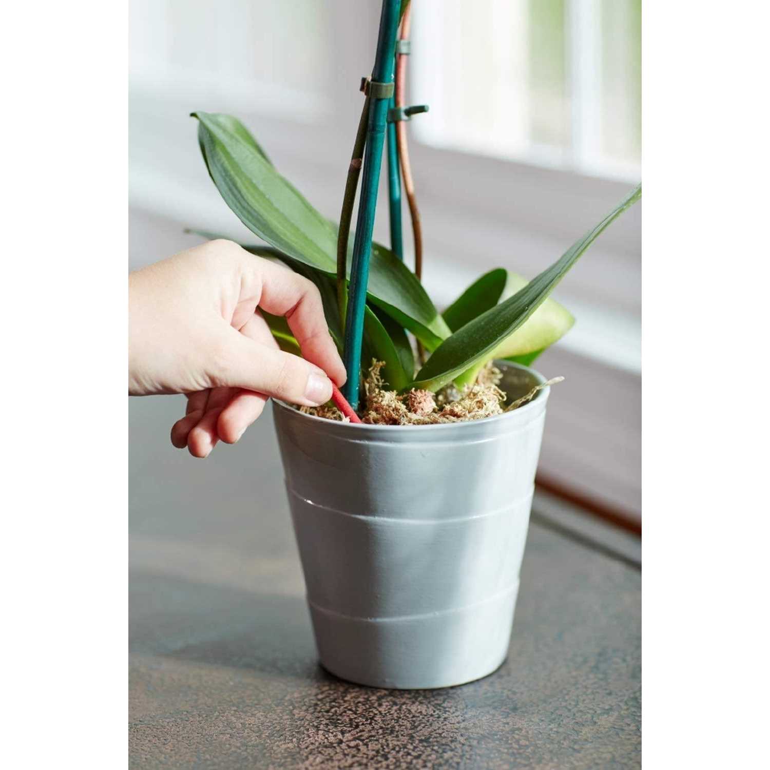Miracle Gro Orchid Plant Food Spikes - Image 3