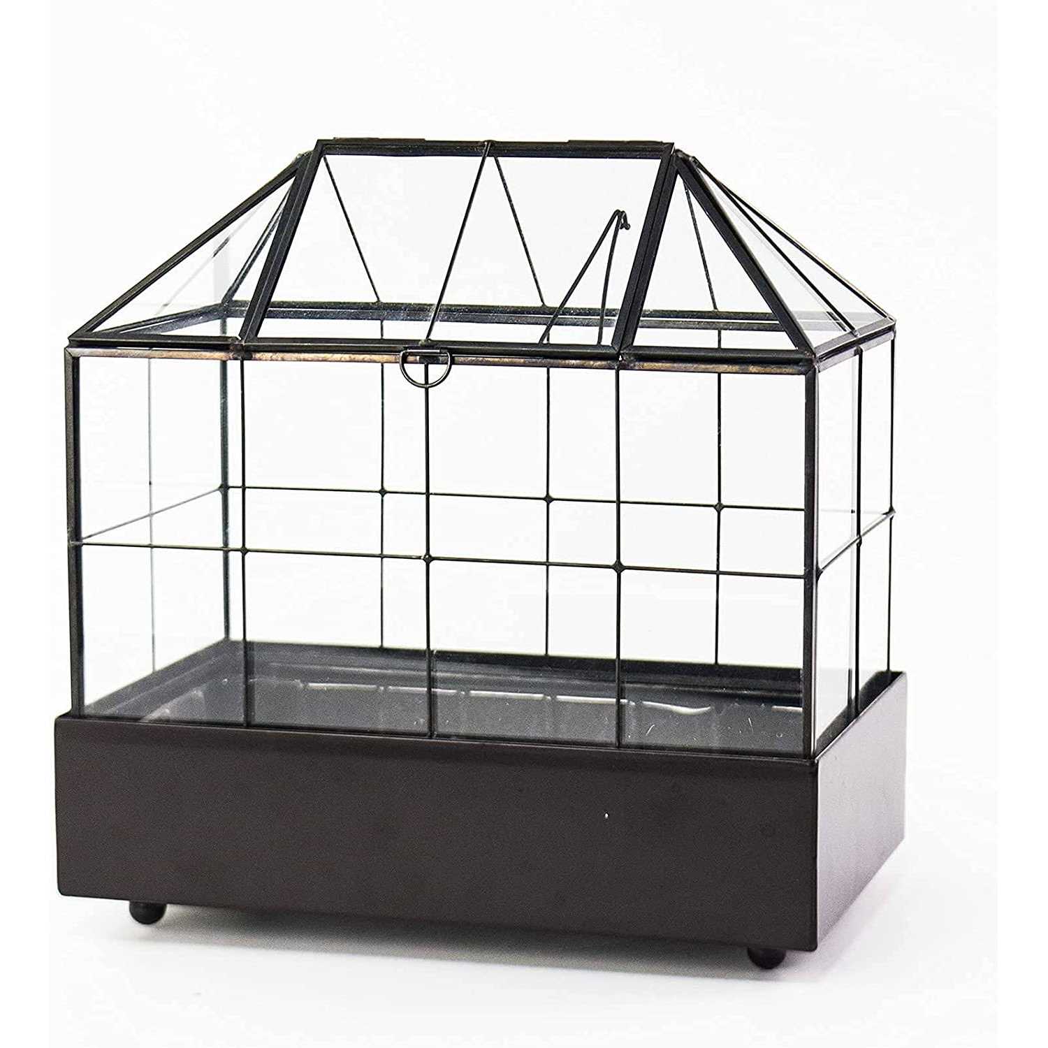 Large Tall Plant Terrarium Glass Glass Greenhouse Terrarium with Lid and Tray,Indoor Tabletop Orchid Succulent Cacti Terrarium Kit 9.5”X9.8”X5.6” - Image 3
