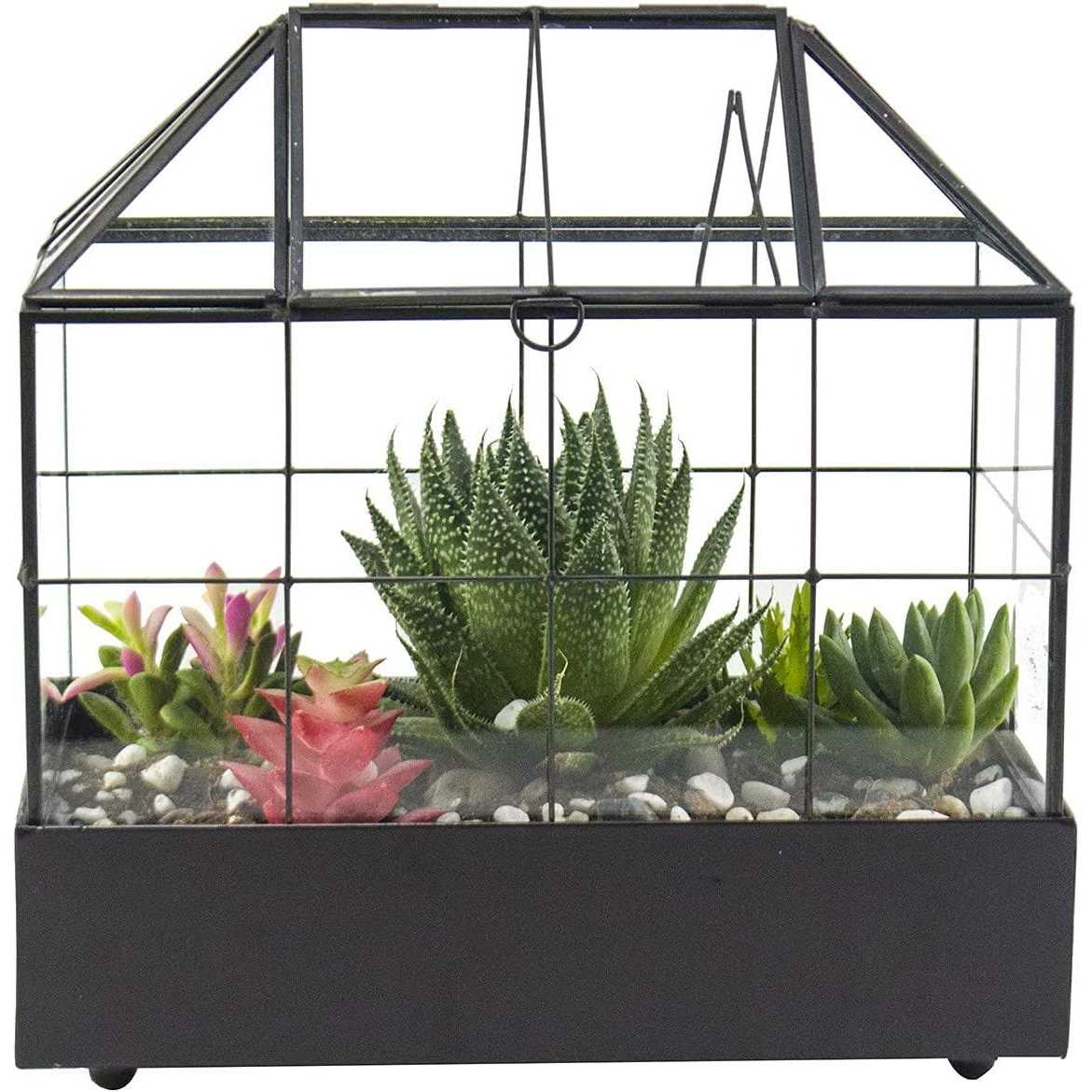 Large Tall Plant Terrarium Glass Glass Greenhouse Terrarium with Lid and Tray,Indoor Tabletop Orchid Succulent Cacti Terrarium Kit 9.5”X9.8”X5.6” - Image 4