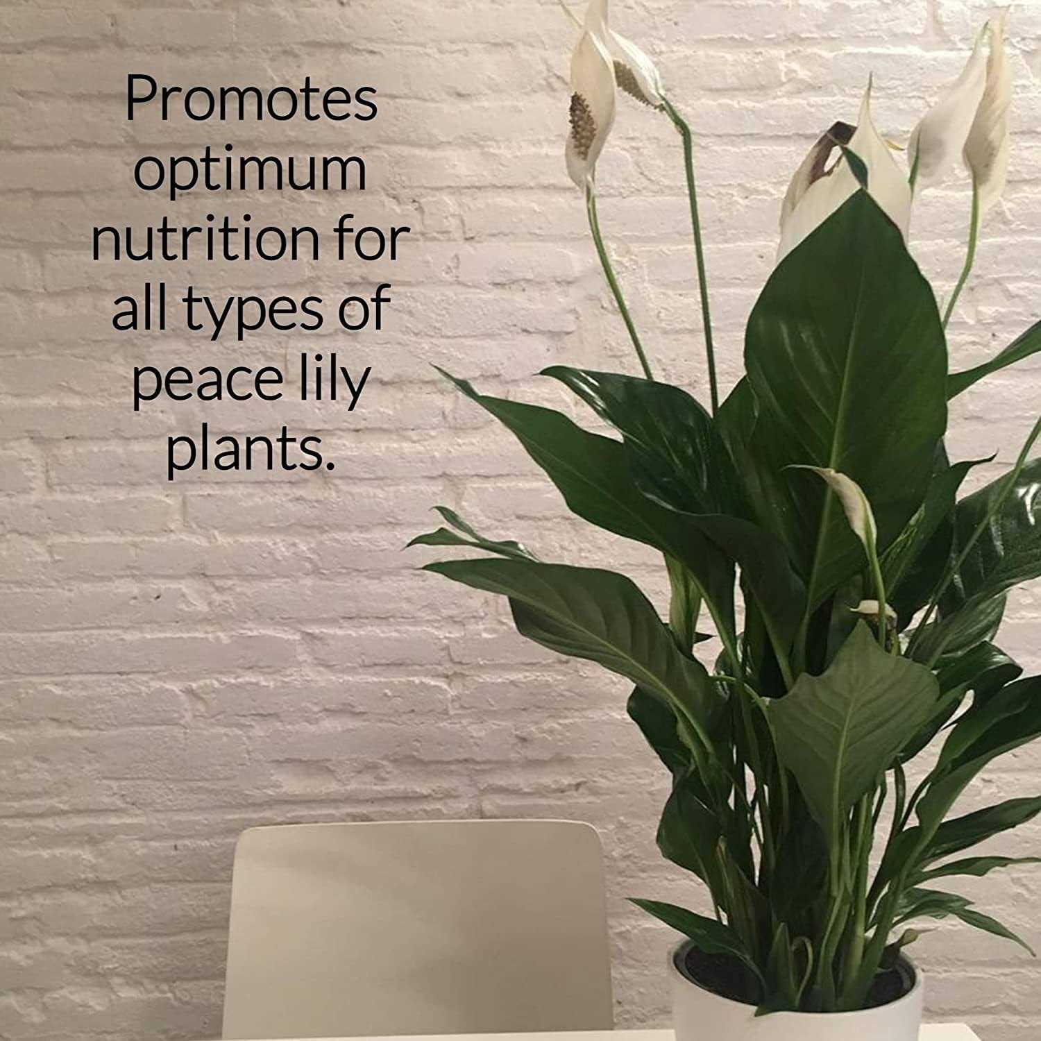 Leaves and Soul Professional Liquid Peace Lily Plant Fertilizer 3-1-2 Concentrate for Plants and Flowers - Image 4